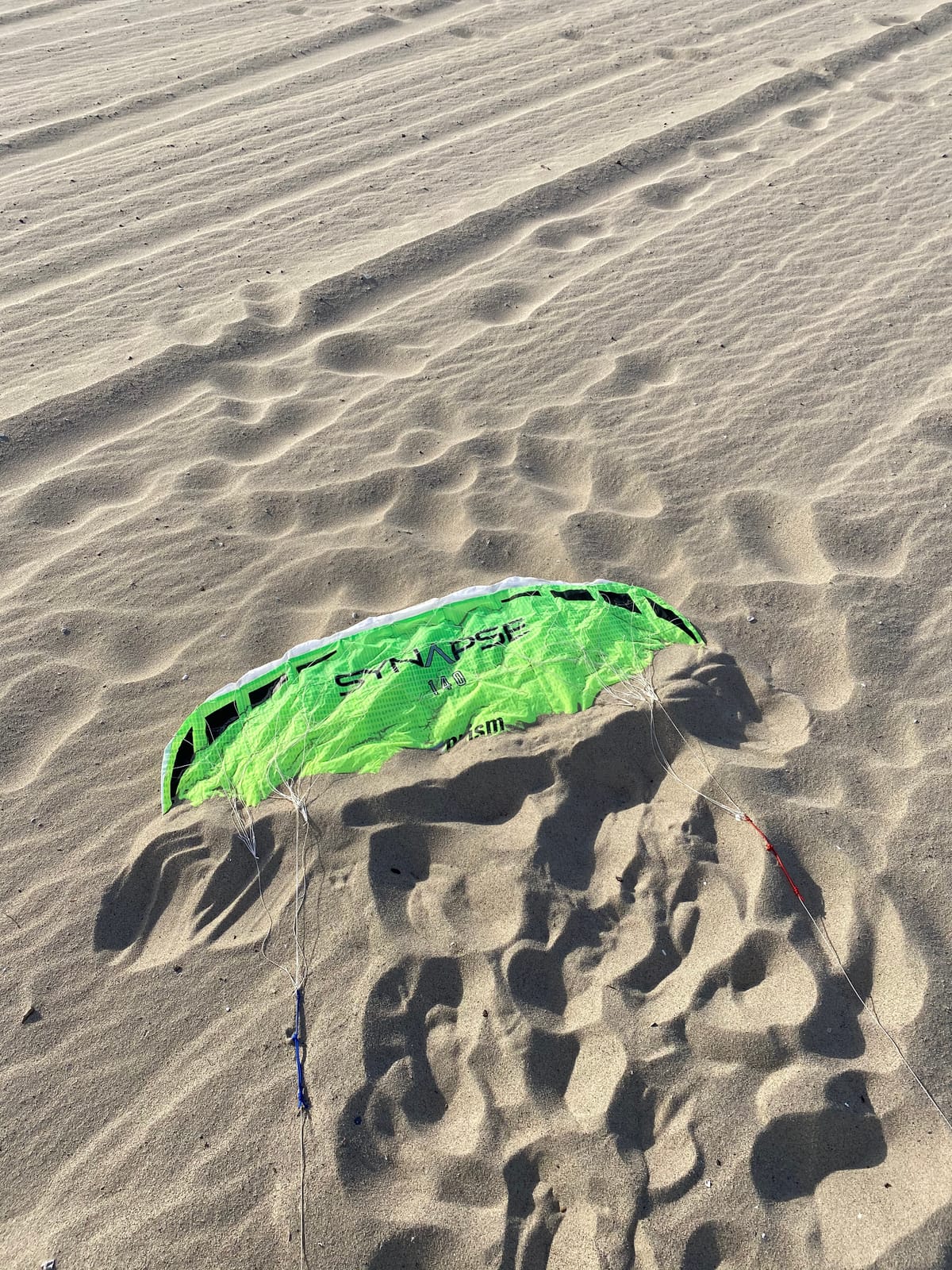 Prism Kite Technology Synapse 140 Dual-line Parafoil Kite - an Ideal Entry Level Kite for Kids and Adults to Dual-line Kiting, Cilantro customer photo 2