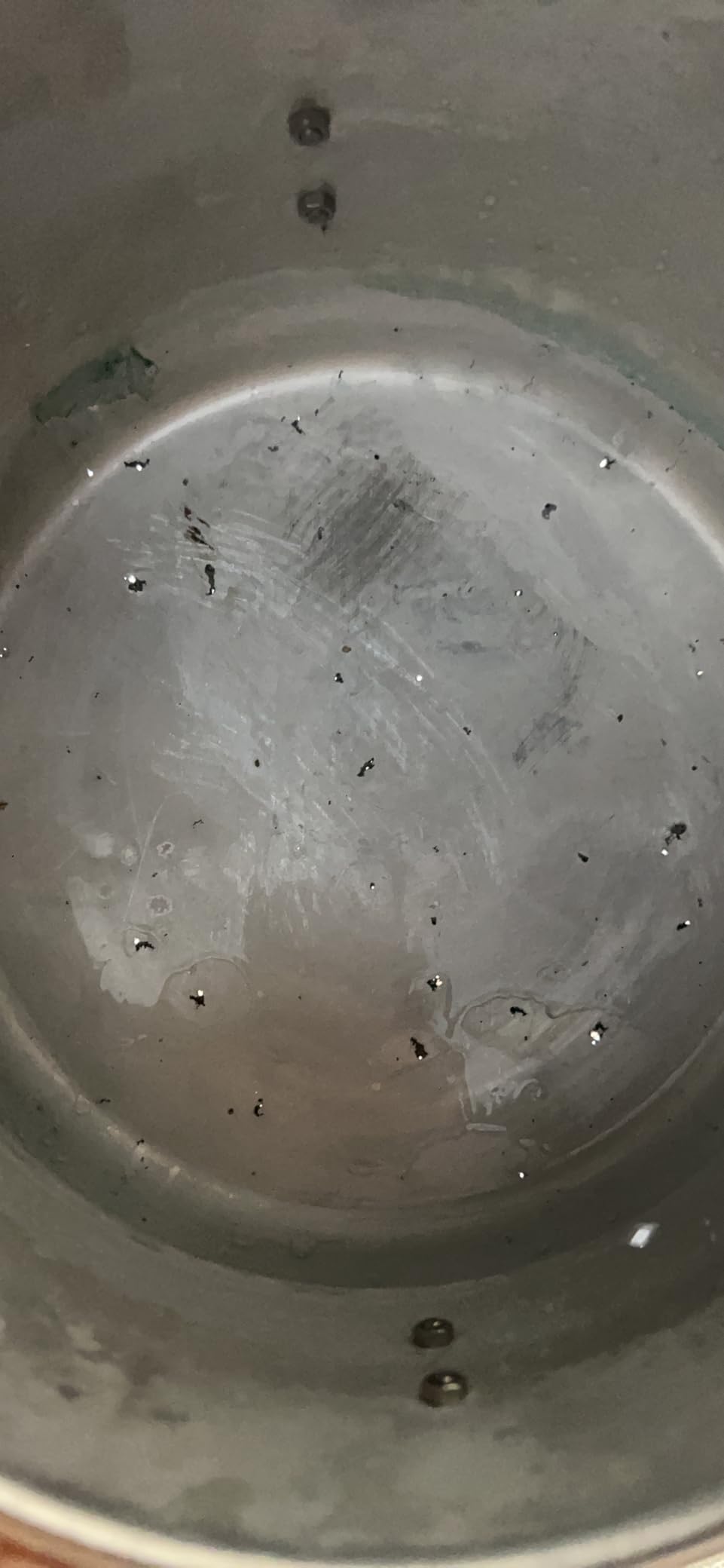 Silver Bullet Cold Fogger Triple Jet Mosquito Insect Control (Corded) customer photo 1