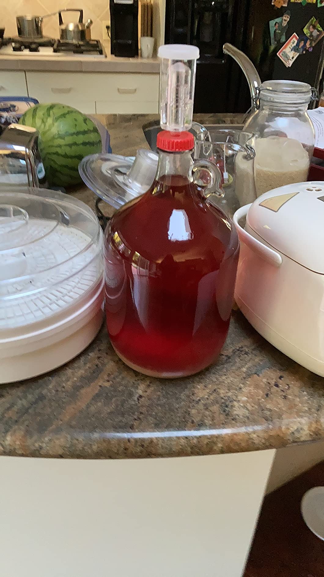 Master Vintner Fresh Harvest One Gallon Small Batch Fruit Wine Making Kit customer photo 1