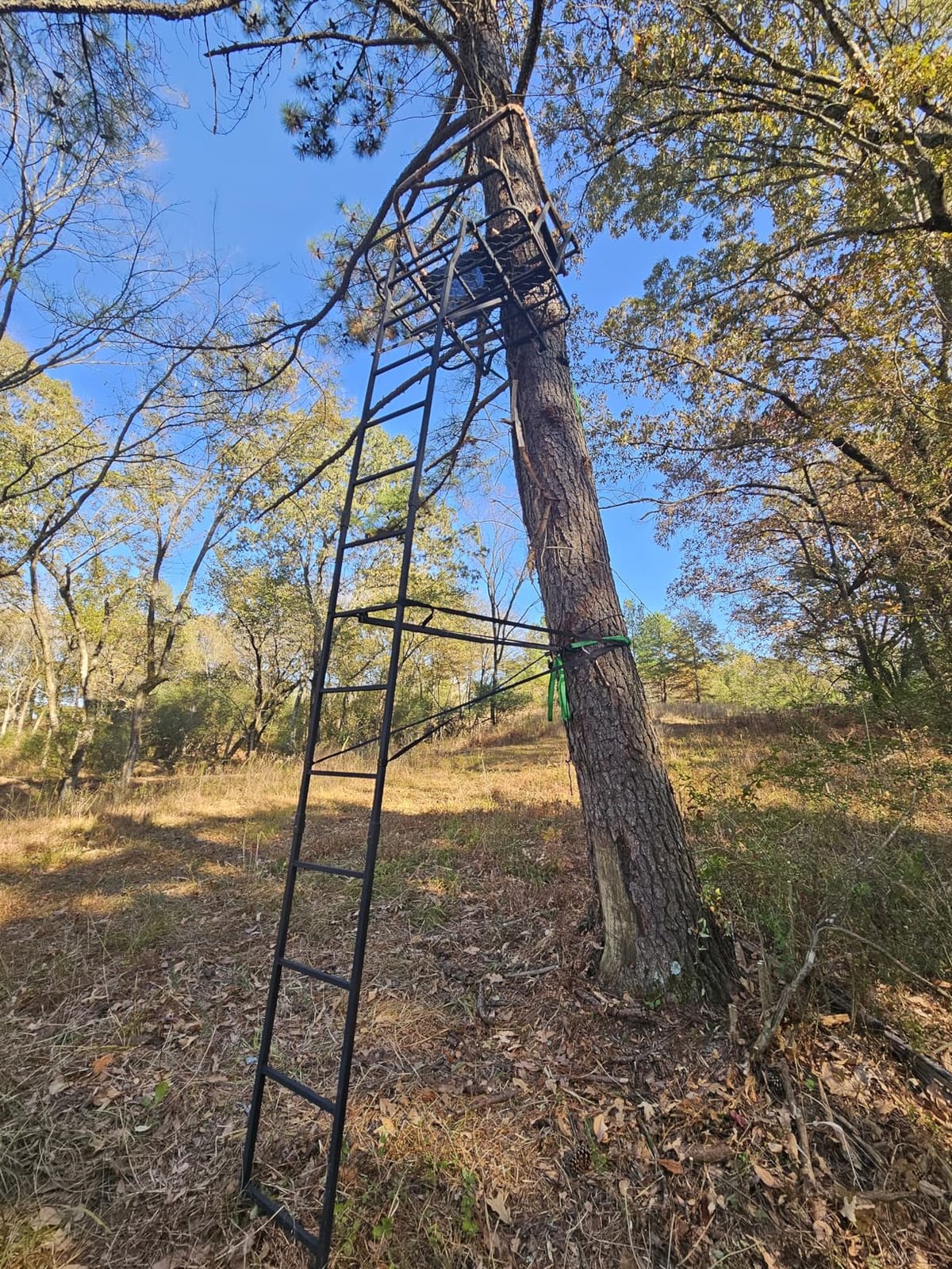 Muddy 2-Person Ladder Tree Stand for Deer Hunting, 17' Tall, Black | The Partner - Adjustable Climbing Treestand with Platform, Straps and Safety Harness customer photo 1