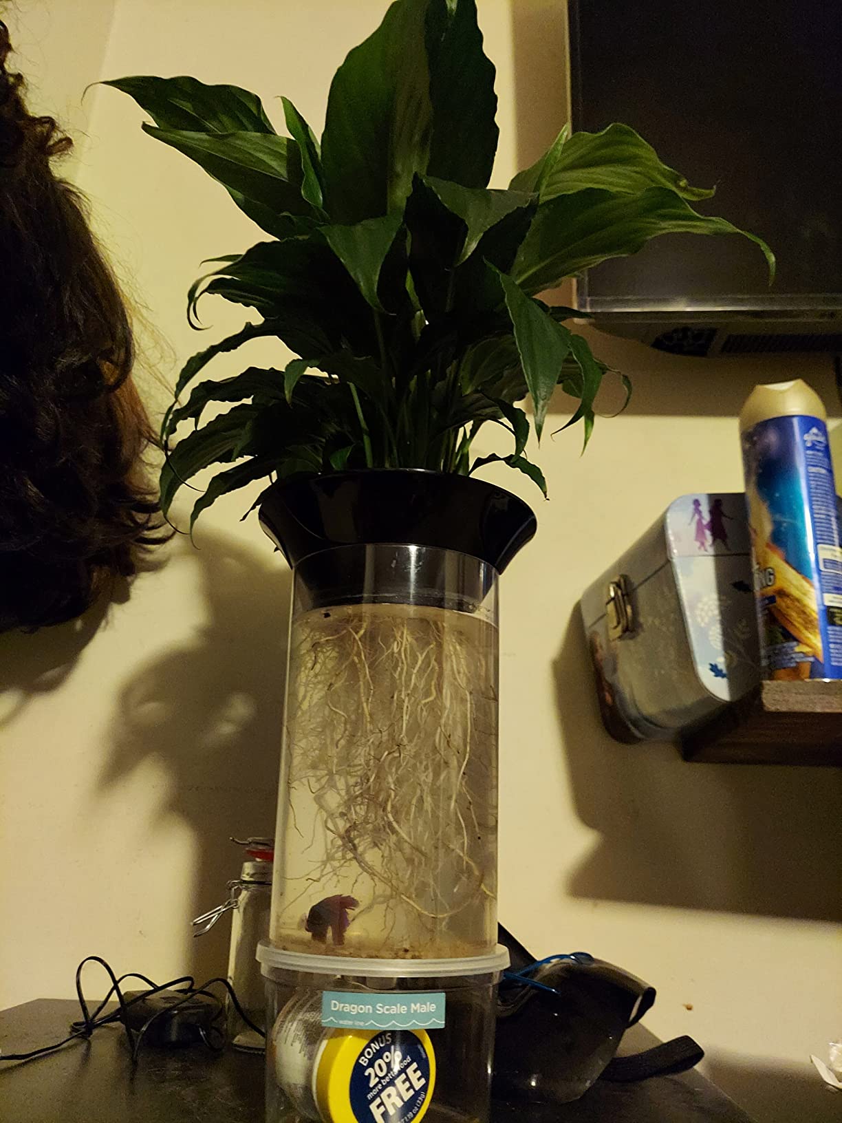 Penn-Plax (APON1) Aquaponic Planter and Aquarium for Betta Fish Tank Promotes Healthy Hydroponic Environment for Plants and Fish customer photo 1