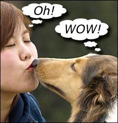 Dogtra 1900S Ergonomic 3/4-Mile IPX9K Waterproof High-Output Remote Dog Training E-Collar customer photo 2