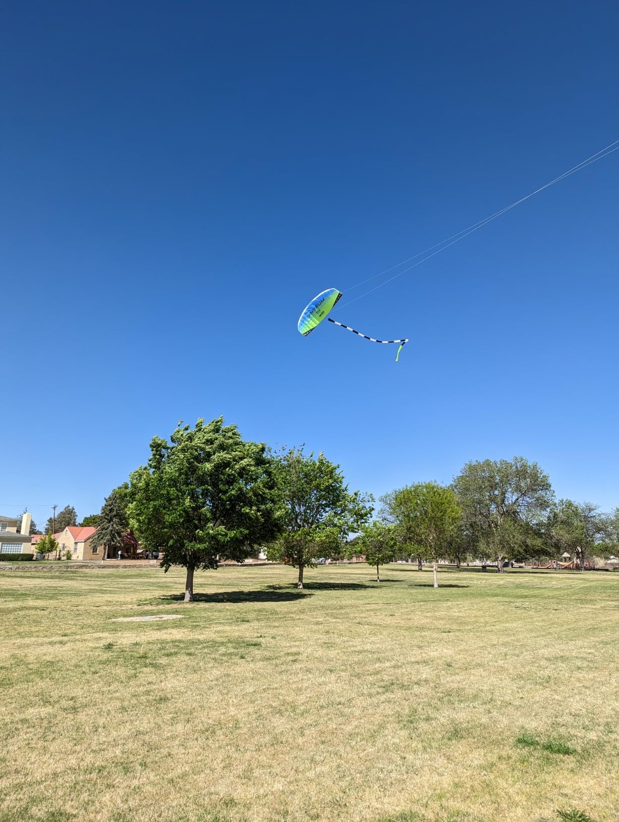 Prism Tantrum 250 Dual-line Parafoil Kite with Control Bar customer photo 2