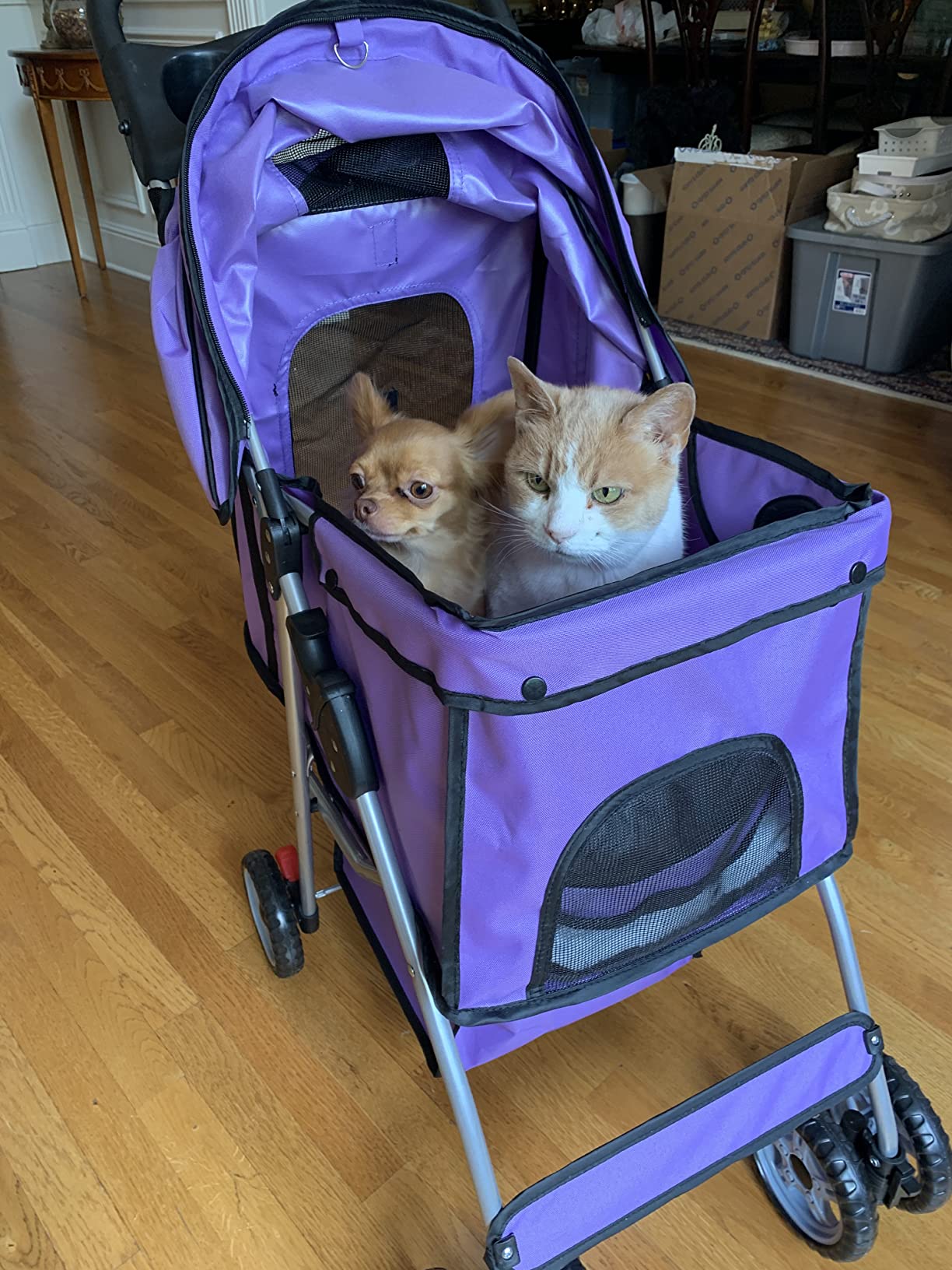 BestPet | 4-Wheel Foldable Pet Stroller | Black | Lightweight & Portable | Travel Carrier with Mesh Windows, Storage Basket, Cup Holder, Safety Brakes, and Waterproof Fabric | For Small Dogs and Cats customer photo 2