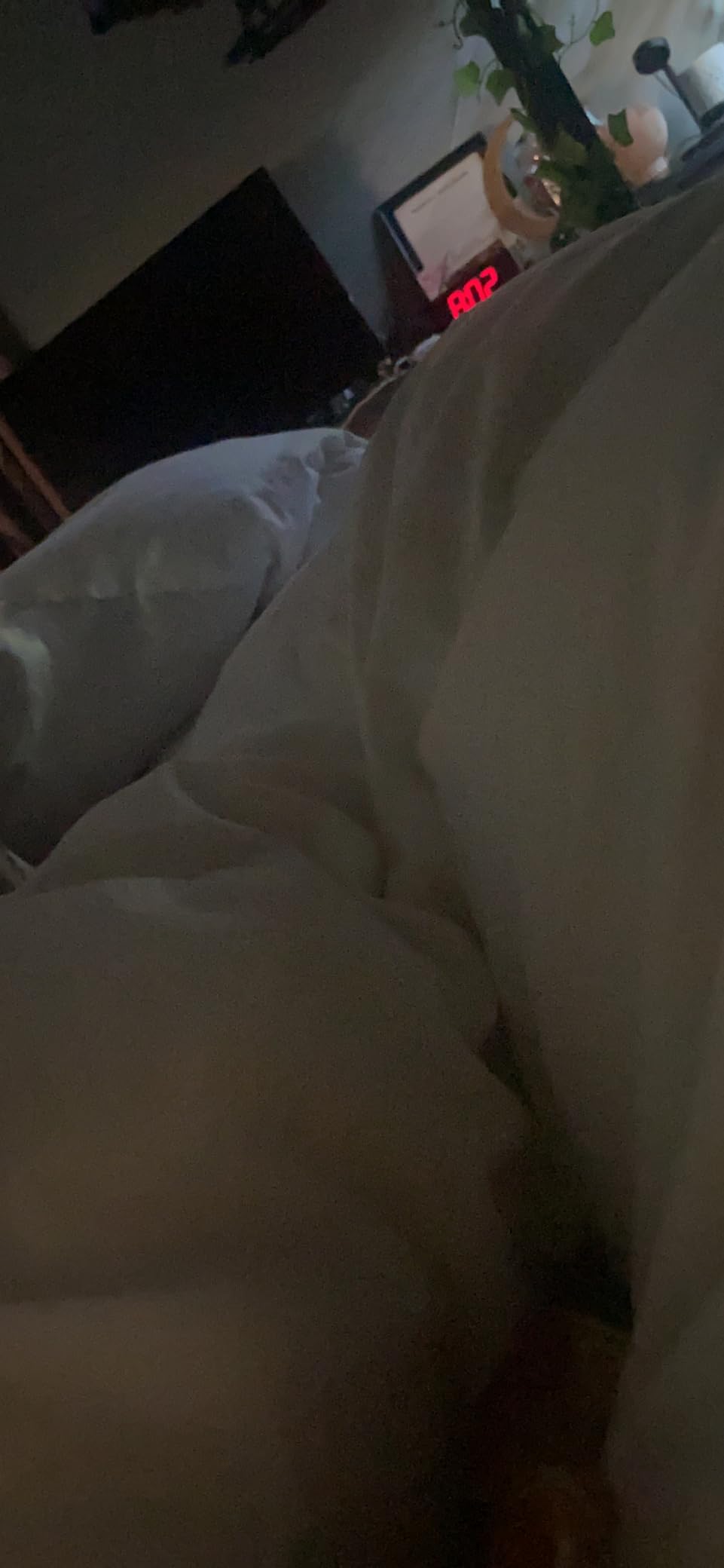 puredown Goose Down Comforter King Size, 800 Fill Power, 100% Cotton Winter Oversized Down Duvet Insert 700 Thread Count, Heavyweight Cloud Fluffy Pinch Pleat Extra Warmth customer photo 1