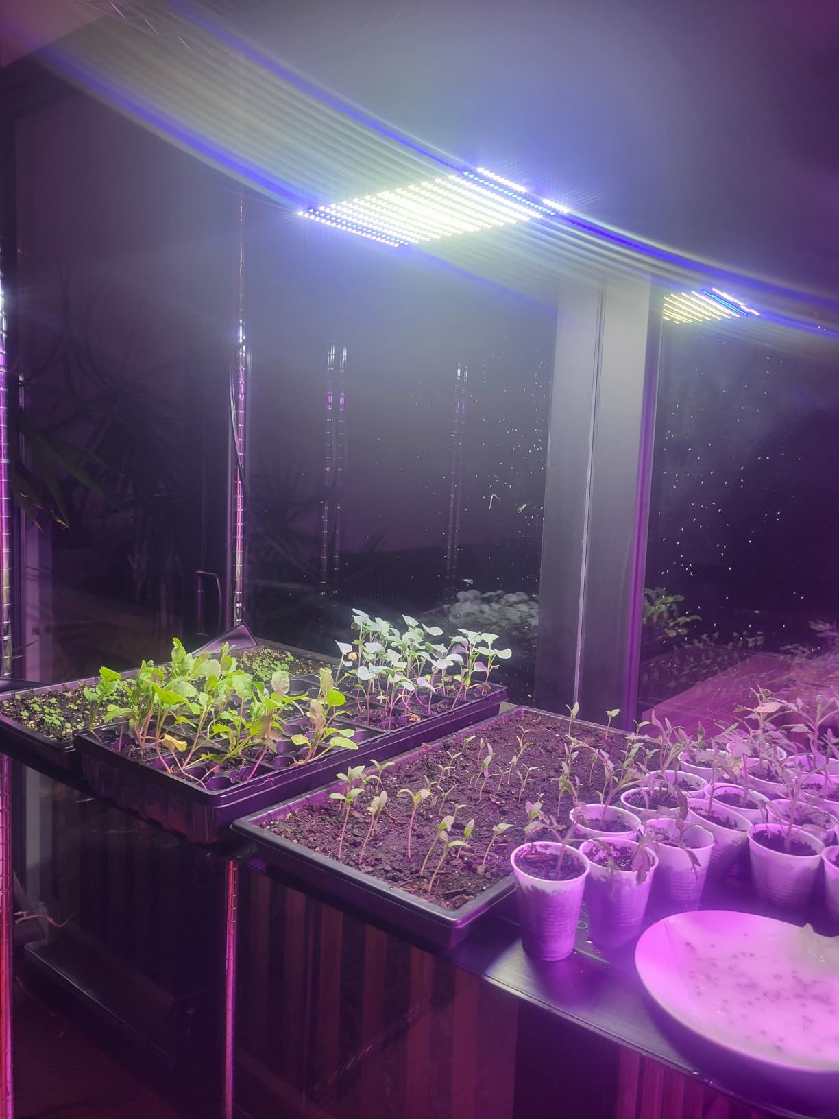 BESTVA DC1000 LED Grow Light, Full Spectrum Grow Lights for Indoor Plants with Veg & Bloom Switches, Quiet Cooling Fan, for Seedling Veg Bloom All Growth Stages customer photo 1