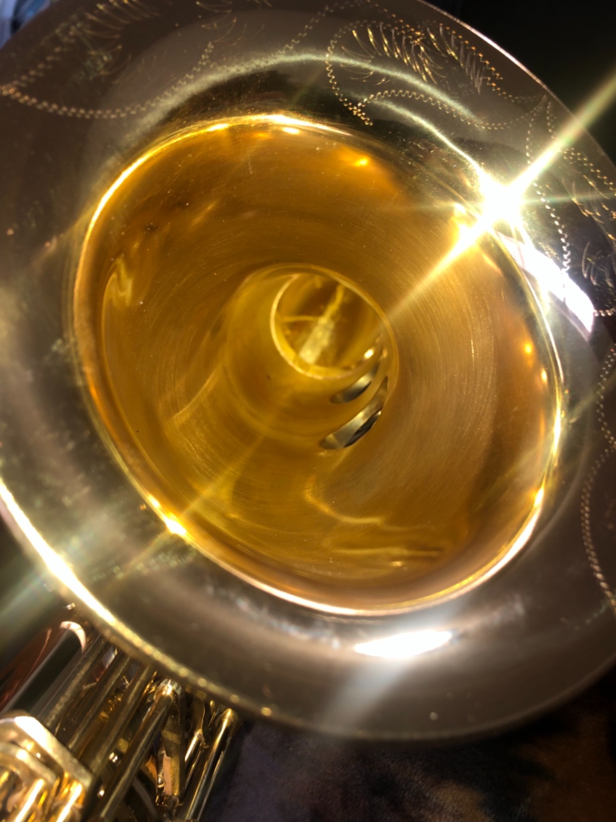 Jean Paul Student Tenor Saxophone TS-400 - Golden Brass Lacquered customer photo 1