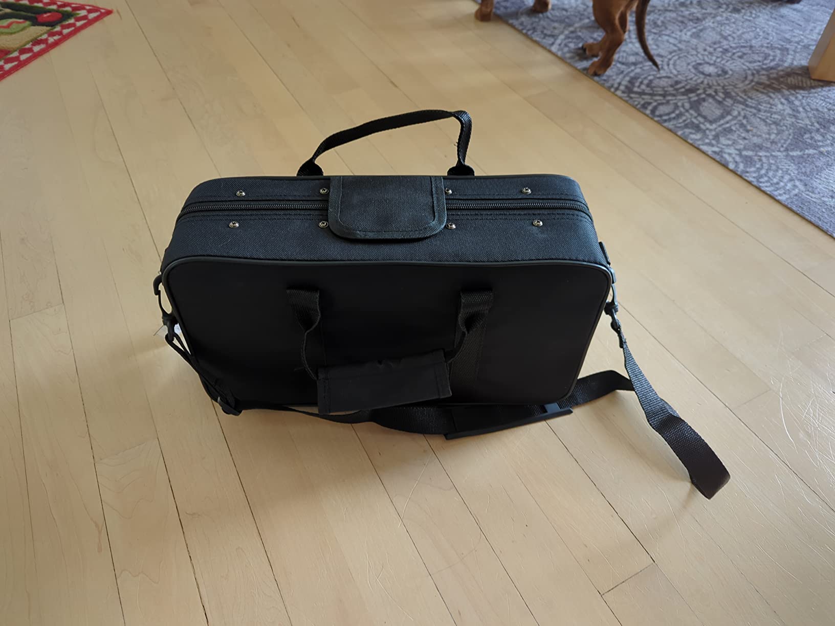 Tosnail 600D Water-resistant Foam Cotton Padded Clarinet Case, Clarinet Gig Bag customer photo 1