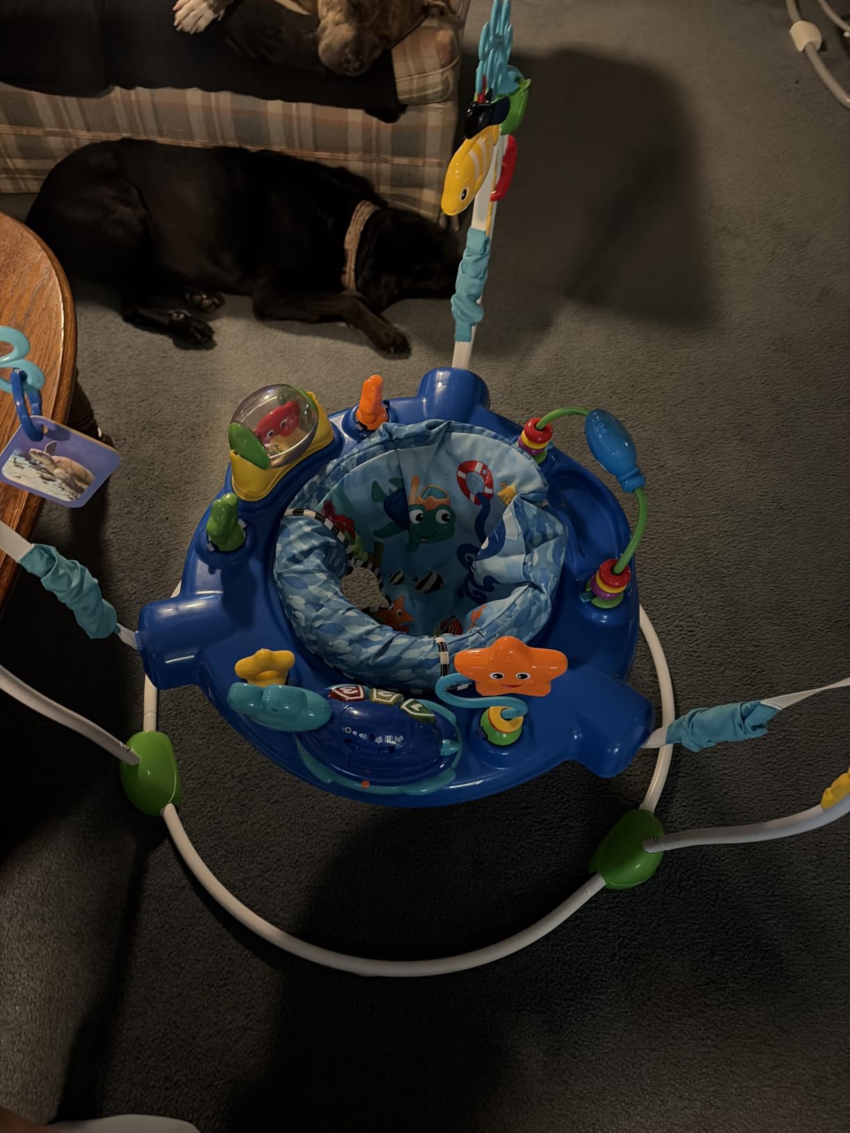Baby Einstein Neptune's Ocean Discovery Activity Baby Jumper Activity Center, Ages 6 Months +, Max Weight 25 lbs., Unisex customer photo 1