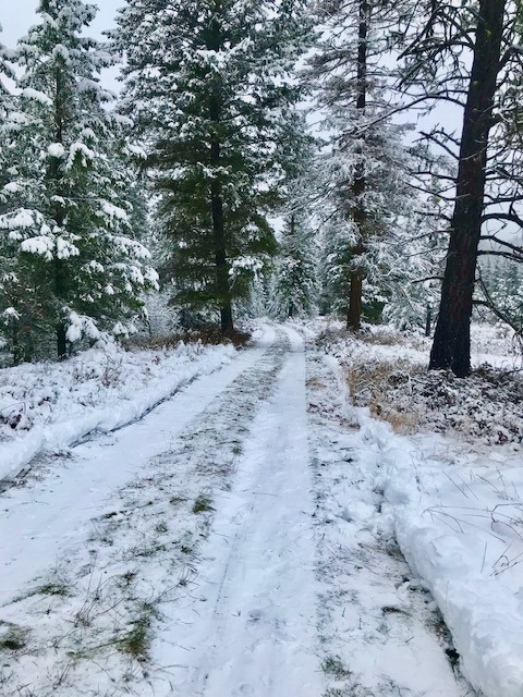 PRO42 PRO Snow Pusher, 42