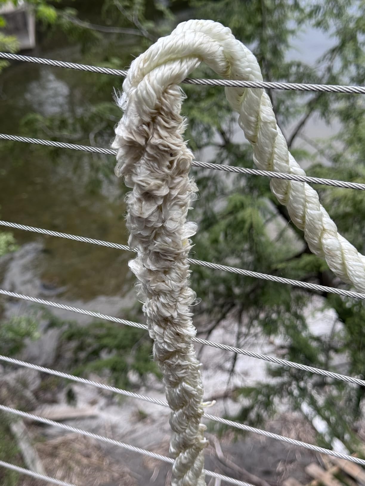 3 Strand Mooring Pendant Line 100% Nylon Rope with Stainless Steel Thimble. Tensile Strength 6400 Lbs. Made in USA (White Nylon, 1/2