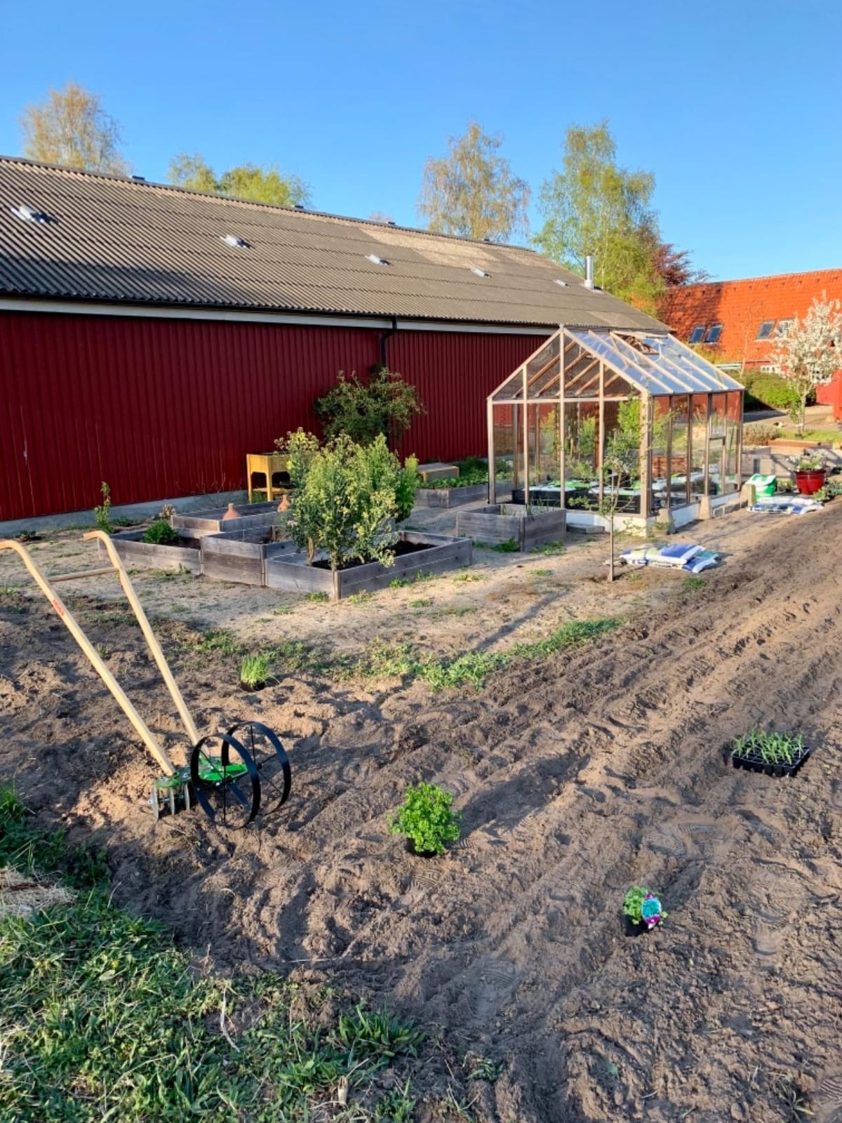 Hoss Disk Harrow Attachment customer photo 1