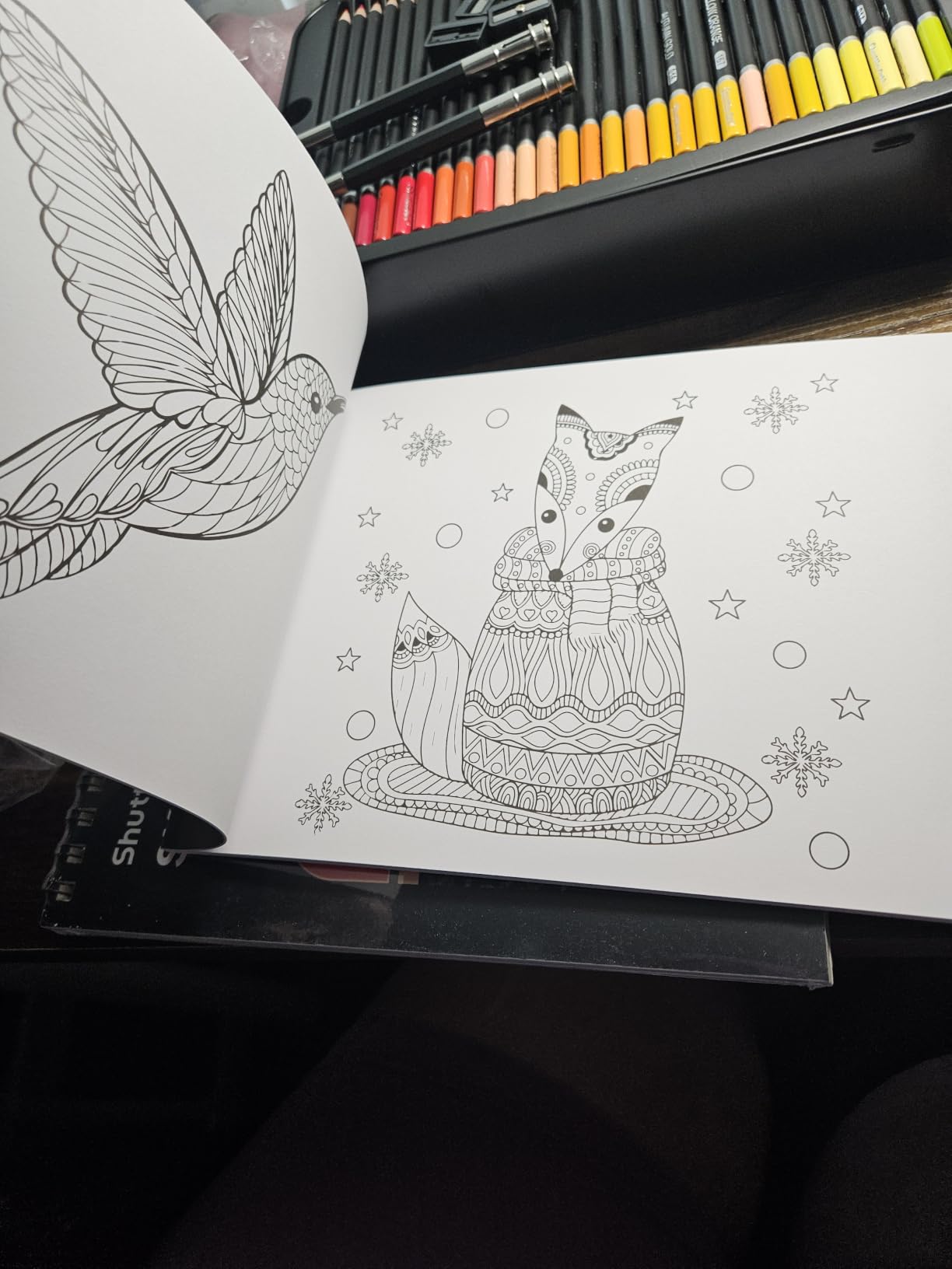Shuttle Art 136 Color Pencils for Adult Coloring Book, Soft Core Colored Pencils Set for Doodling, Sketching, Drawing, Art Supplies customer photo 1