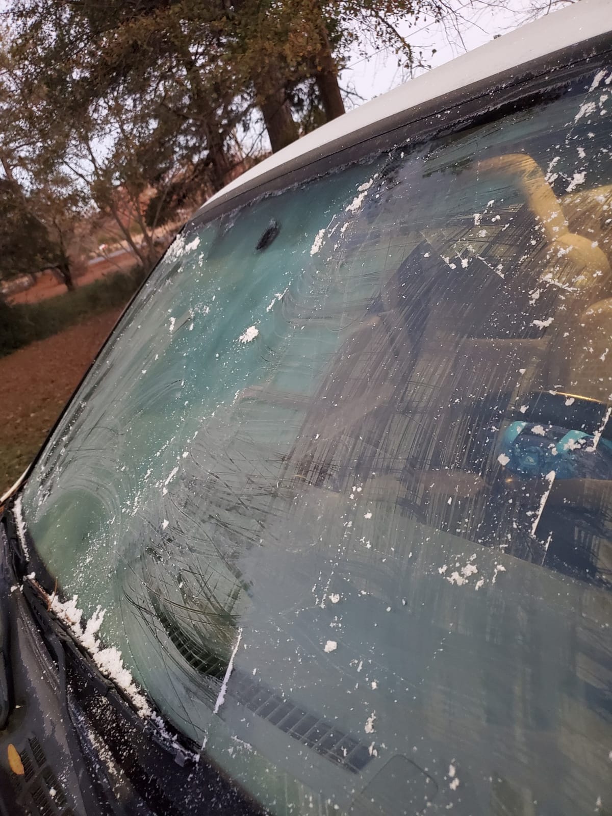 RevHeads Ice Scraper for Car Windshield & Windows with 9