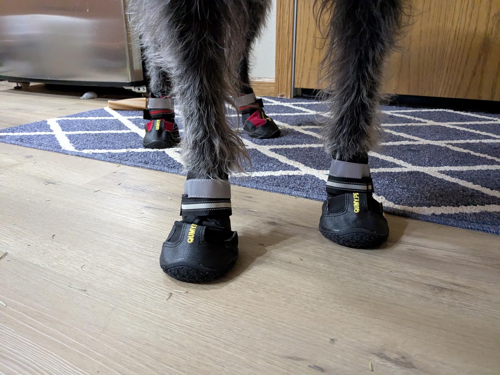 QUMY Dog Shoes for Hot Pavement, Dog Snow Boots & Paw Protectors for Winter | Dog Booties Medium Large Size Dogs, Water-resistant in the Rain, Outdoor Walking, Indoor Hardfloors Skid-resistant Sole Black customer photo 1