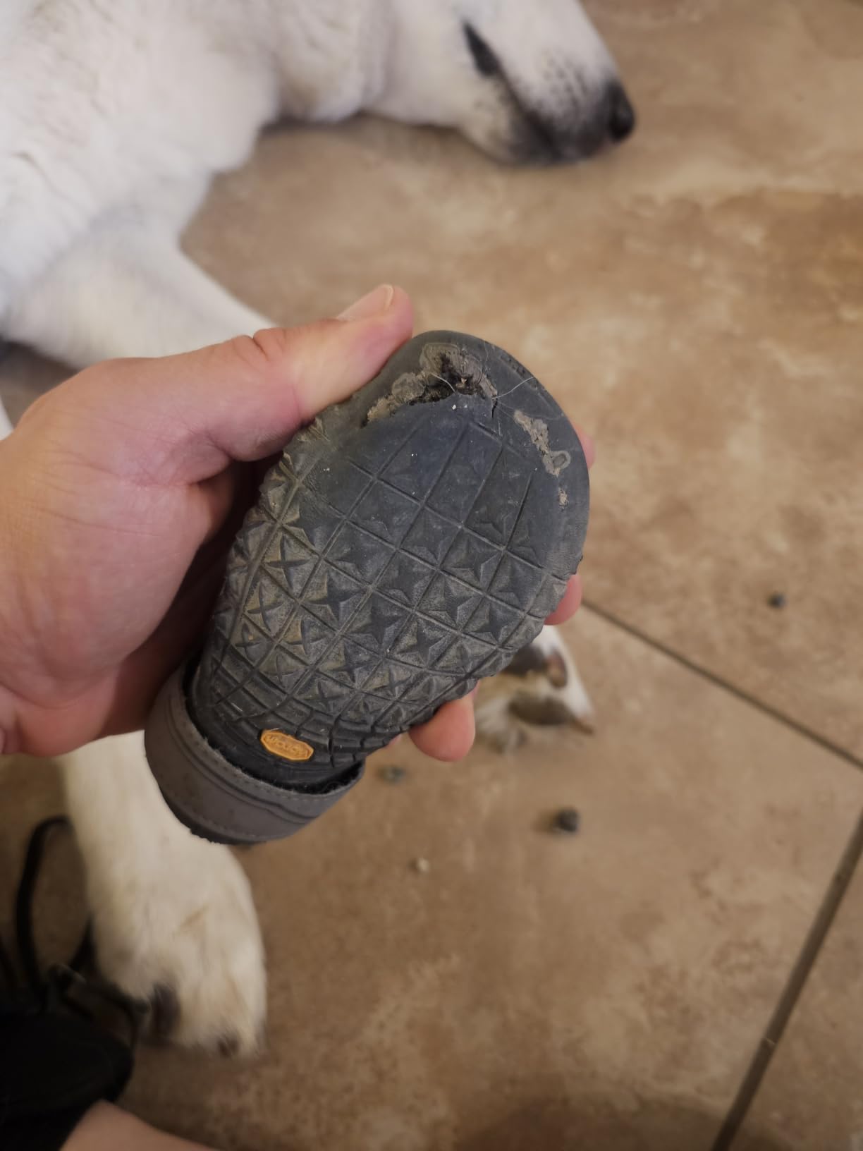 Ruffwear, Grip Trex Dog Shoes, Non-Slip Boots for Hot Pavement & Snow, Weatherproof Paw Protection with Breathable Mesh, Rugged Sole for Hiking, Obsidian Black, 2.50