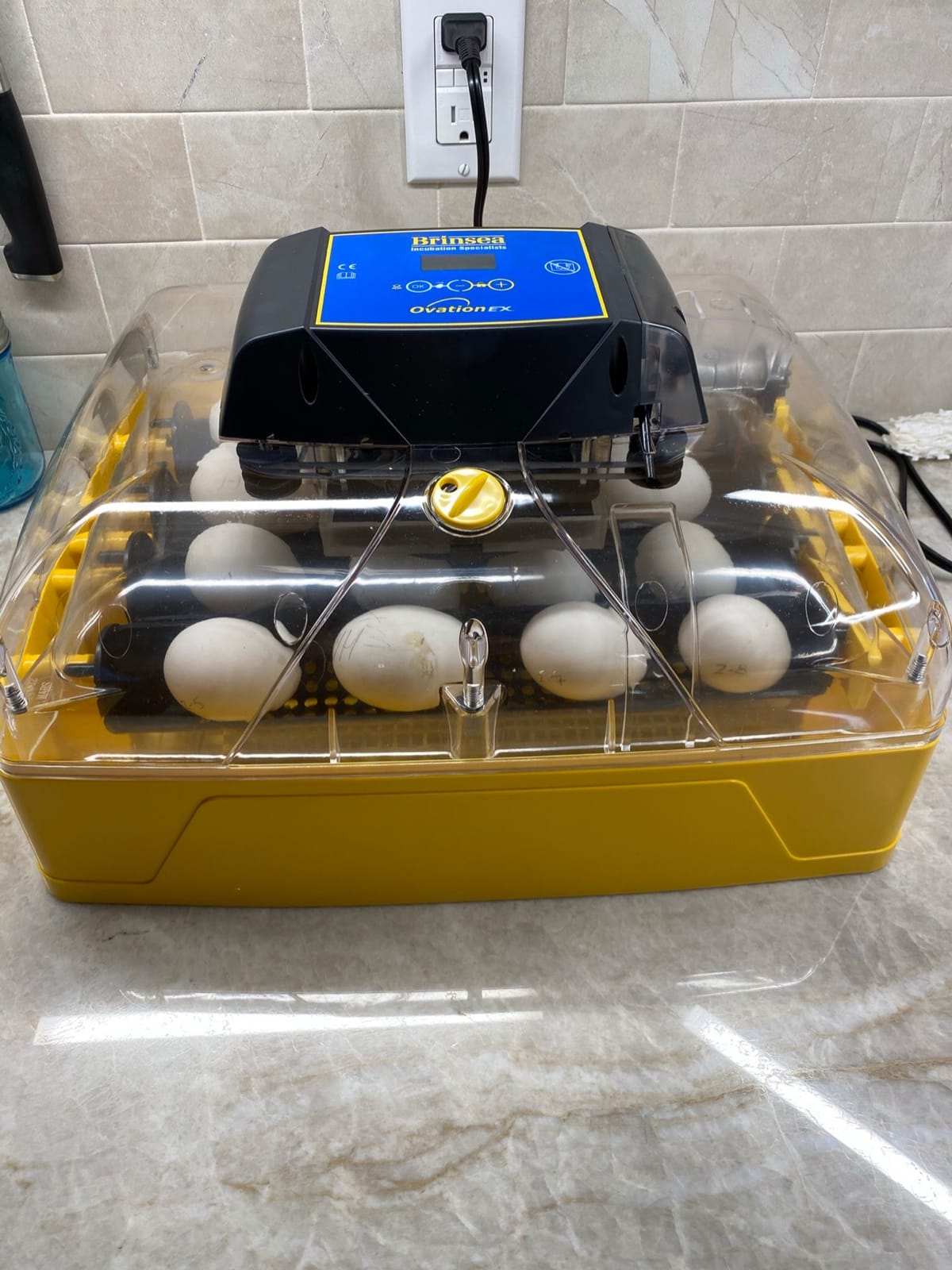 Brinsea Ovation 28 EX Egg Incubator, Automatic Turning & Humidity Control | 50+ years of trusted precision! Built-in automatic humidity, auto-turn & temp alarms take the stress out of hatching 28 eggs customer photo 1