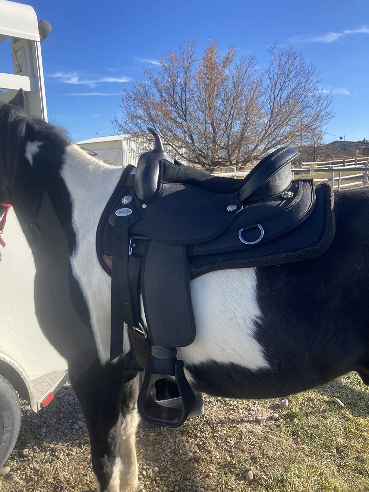 HILASON Flex Tree Western Horse Saddle Cordura Synthetic Trail & Pleasure customer photo 2