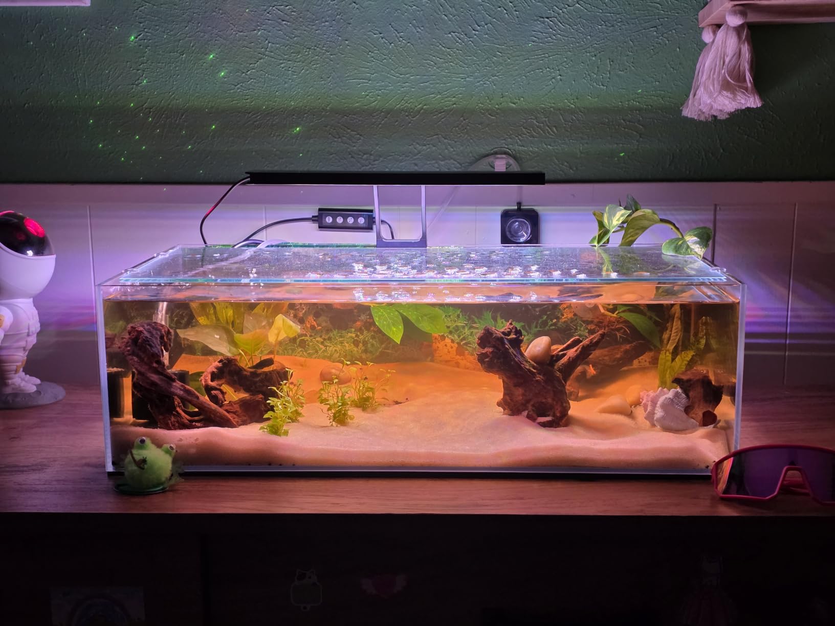 LANDEN 90P 55 Gallon Rimless Low Iron Aquarium Tank,W35.4×D19.7×H19.7 in(90x50x50cm) 10mm Thickness with Black Nano Foam Leveling mat Included | 35.4x19.7x19.7in (90x50x50cm),10mm Low Iron Glass, leveling mat Included, Large Freshwater Plant Betta Turtle Aquascape Tank customer photo 1