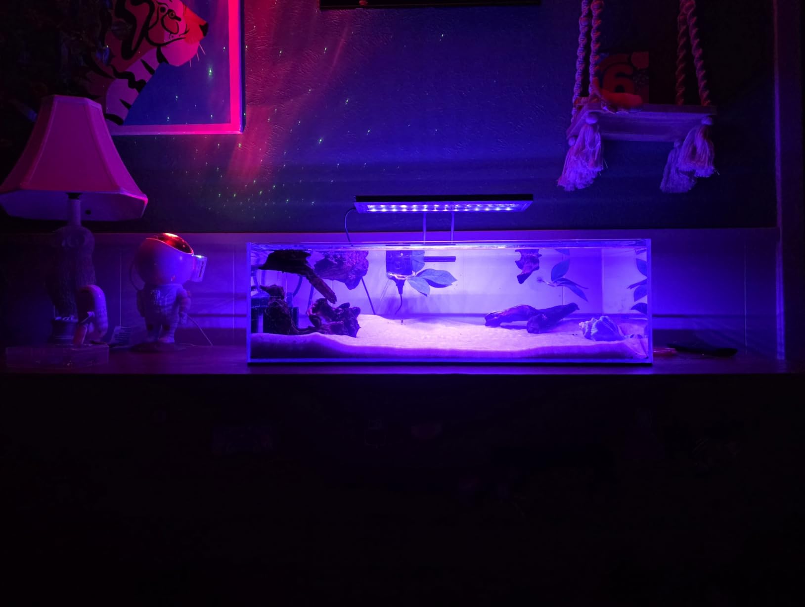 LANDEN 90P 55 Gallon Rimless Low Iron Aquarium Tank,W35.4×D19.7×H19.7 in(90x50x50cm) 10mm Thickness with Black Nano Foam Leveling mat Included | 35.4x19.7x19.7in (90x50x50cm),10mm Low Iron Glass, leveling mat Included, Large Freshwater Plant Betta Turtle Aquascape Tank customer photo 2