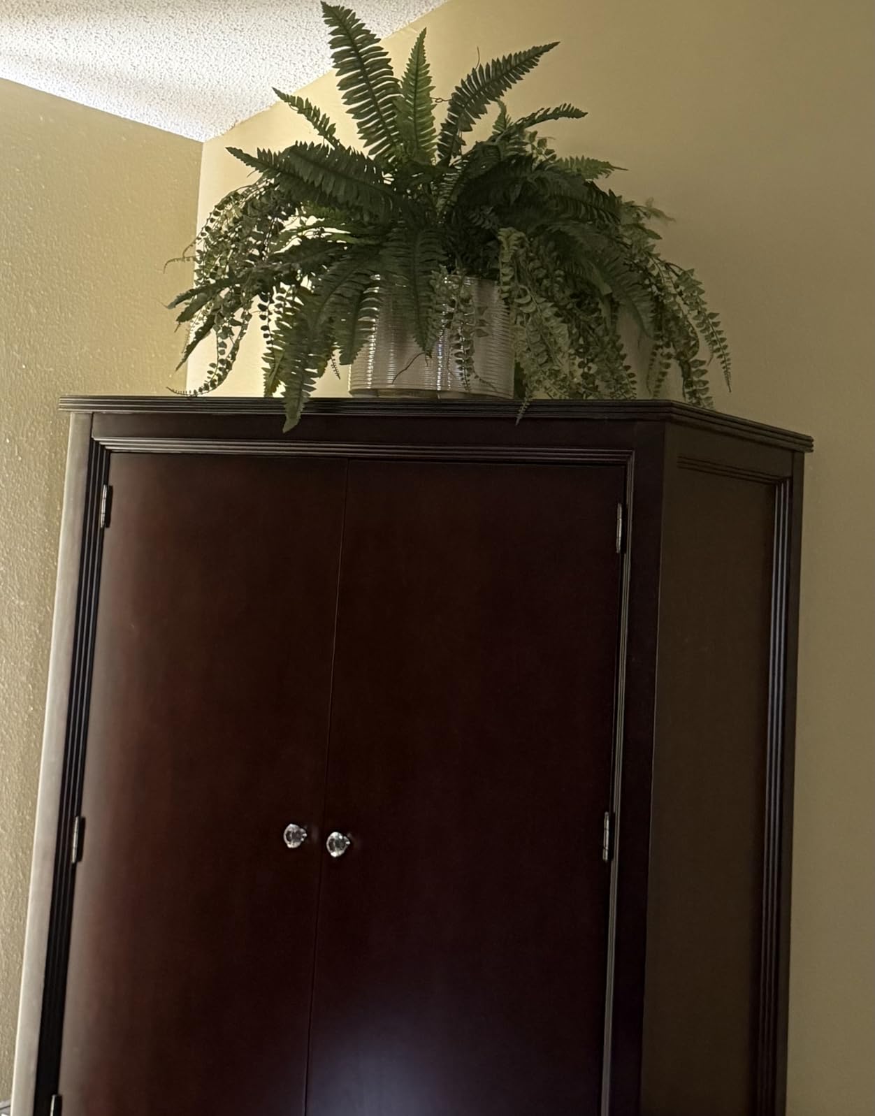 48 in Artificial Boston Fern Hanging Plant (Set of 2) | Large Hanging Fake Plant, 67 Long Realistic Fronds customer photo 1