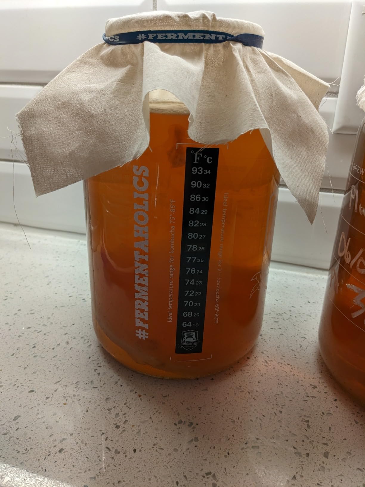 Kombucha Brewing Starter Kit - USDA Certified Organic SCOBY & Tea, Complete Home Kombucha Making Kit with Culture, Kosher Certified customer photo 2
