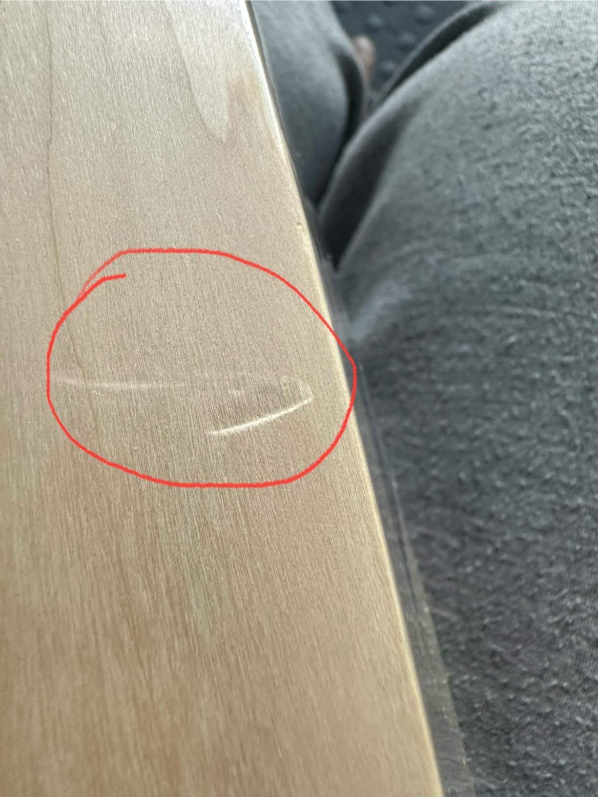 SS Kashmir Willow Leather Ball Cricket Bat, Exclusive Cricket Bat for Adult Full Size with Full Protection Cover (Impact) customer photo 2