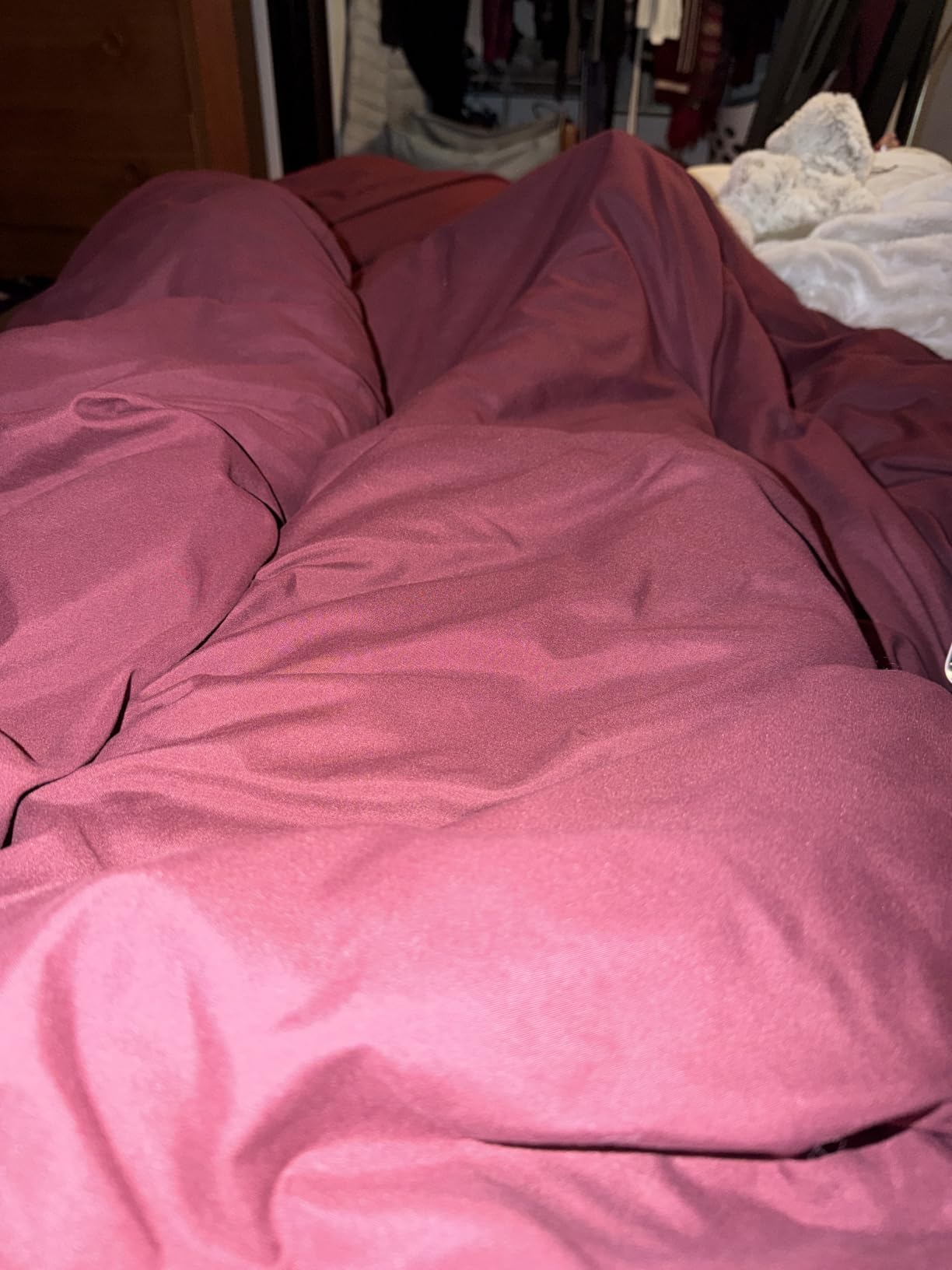 Amazon Basics White Down Alternative Comforter and Duvet Insert with Corner Tabs, Machine Washable, Full/Queen, Light customer photo 1