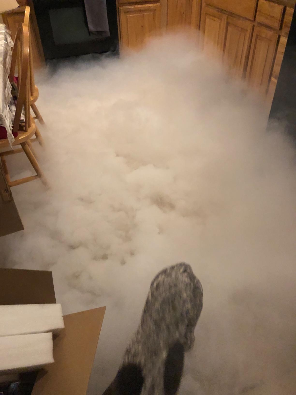 ADJ Products MISTER-KOOL-II Grave Yard Low Lying Water Based Fog Machine | Graveyard Halloween haze, ground hugging mist, no dry ice needed, party and stage ready, quick setup customer photo 2
