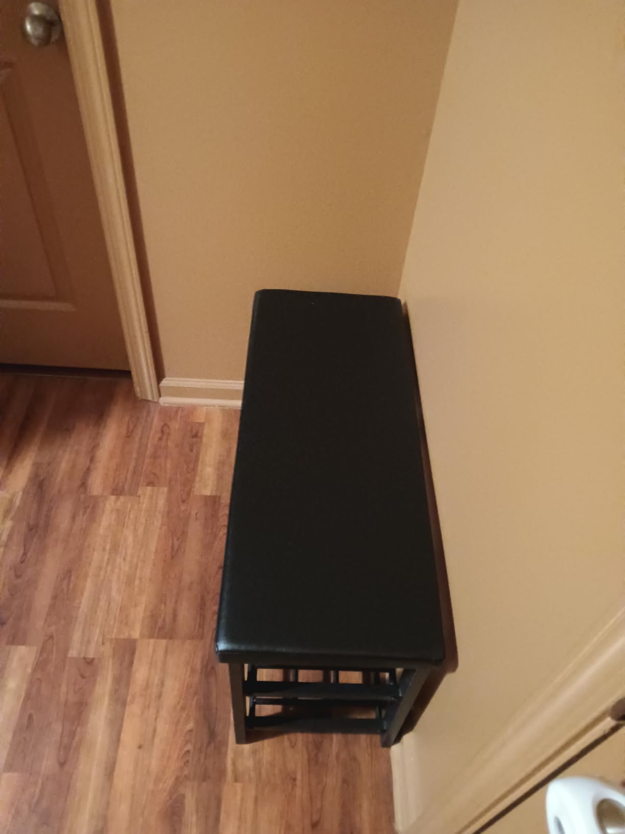 Finnhomy Entryway Shoe Rack with Cushioned Seat, Shoe Bench for Entry, 2 Shelves Storage Bench with Faux Leather Top, Black customer photo 1