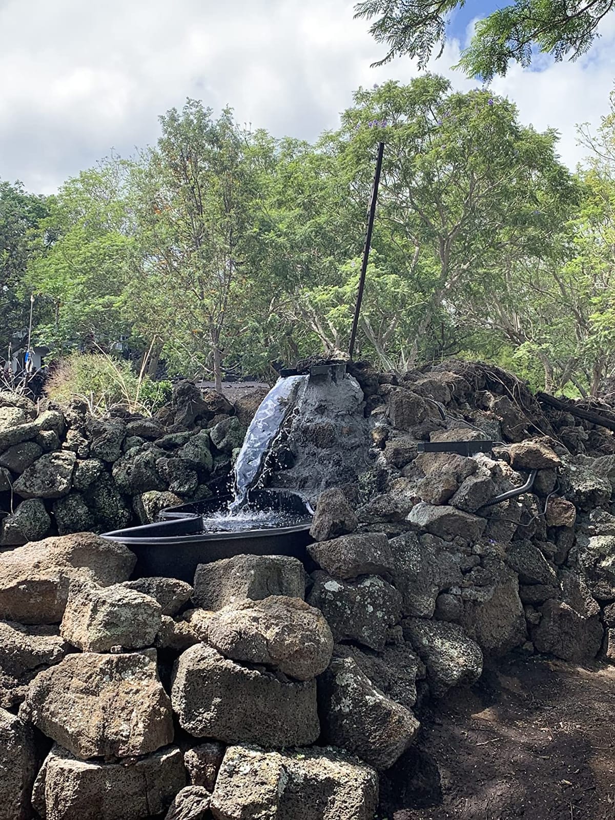 MNP Powerful Submersible Solar Powered Pond Pump Kit with Panels and Hose, No Battery. Advanced Design (50 Watts) customer photo 1