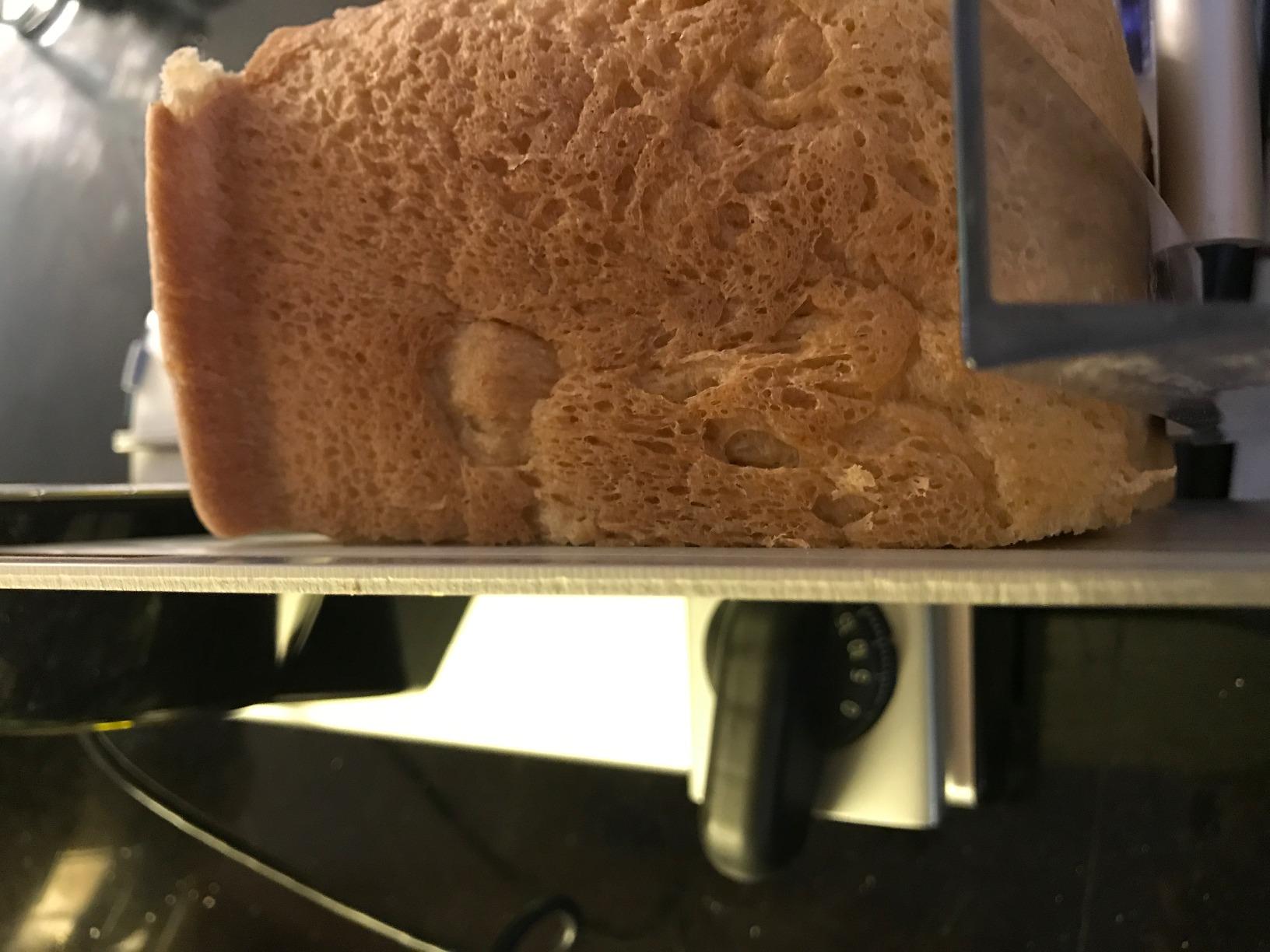 LEM Mighty Bite 8.5