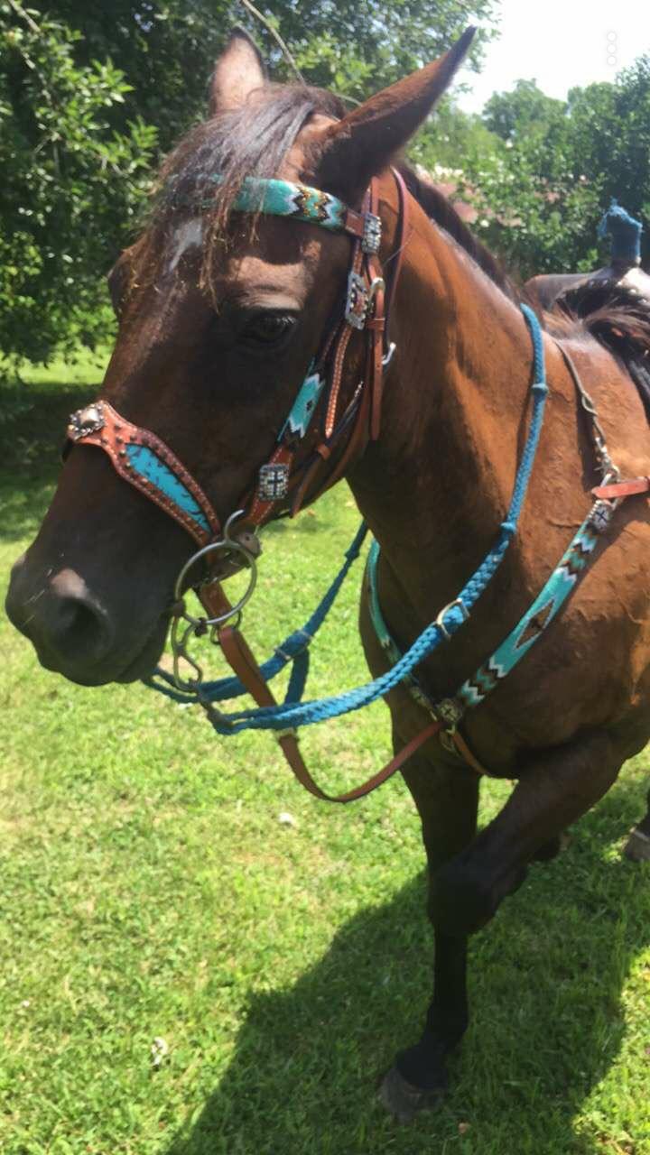 Showman Leather Headstall and Breast Collar Set with Teal, Gold & Black Beaded Overlay w Cross customer photo 2