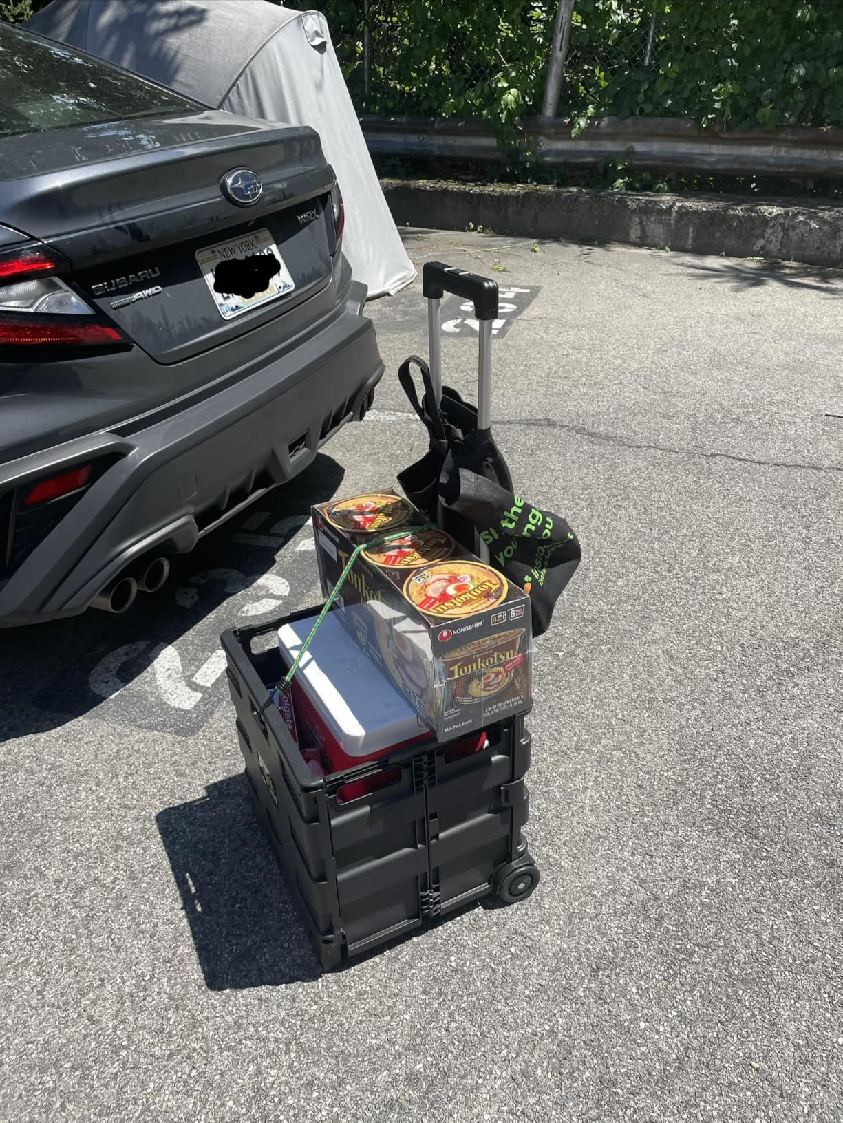dbest products Quik Cart Collapsible Rolling Crate on Wheels for Teachers Tote Basket 80 lbs Capacity, Made from Heavy Duty Plastic Used as a Seat, Black customer photo 1