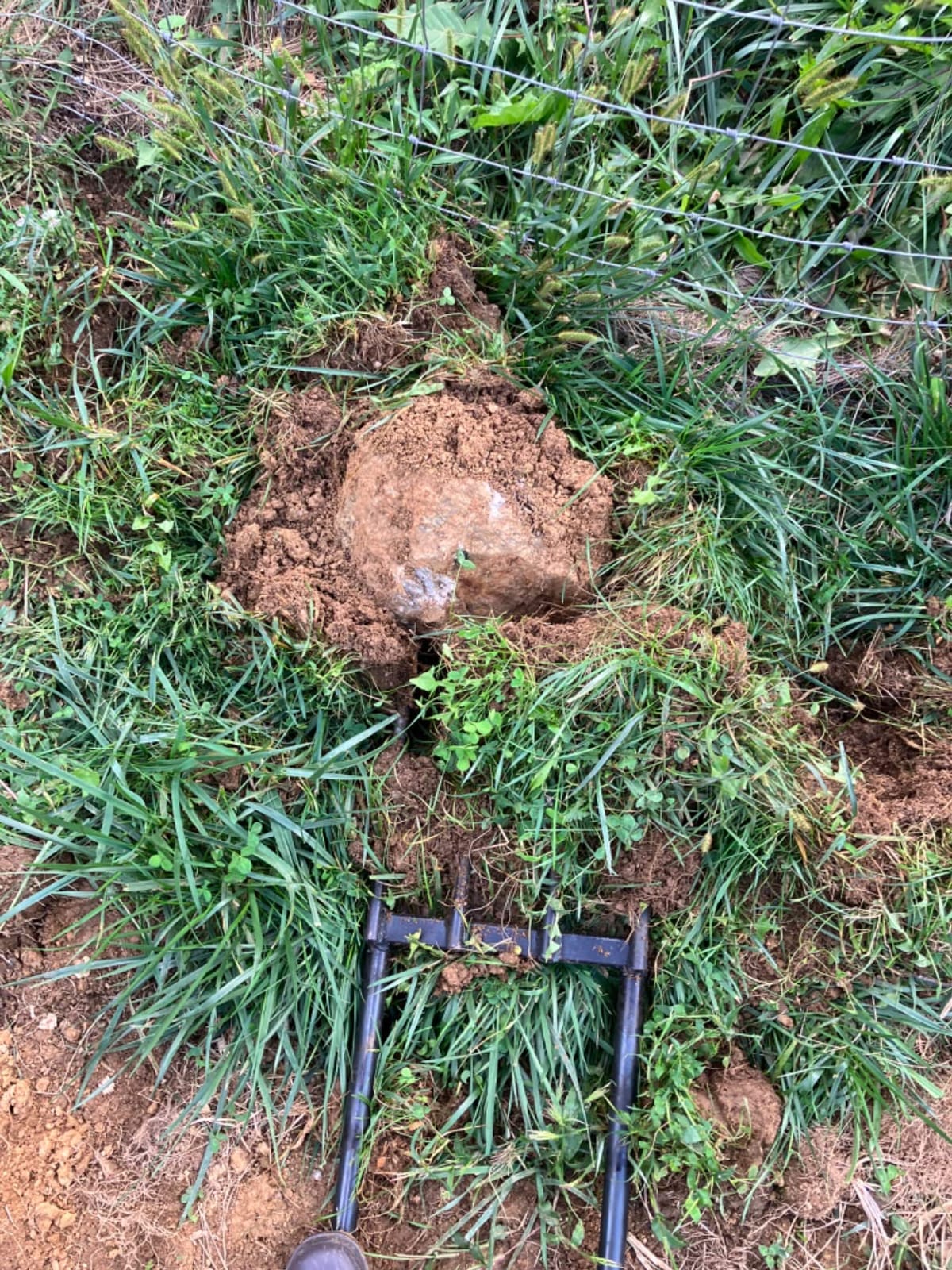 LAM Broadfork 4 Tine customer photo 2