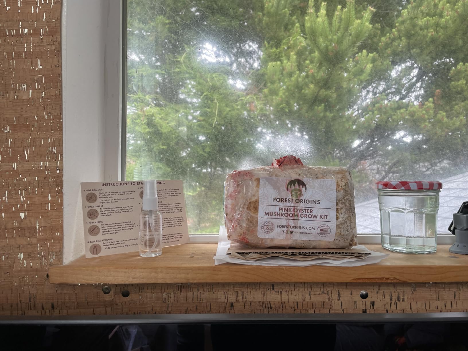 Forest Origins Pink Oyster Mushroom Grow Kit, Beginner Friendly & Easy to Use, Grows in 10 Days | Handmade in California, USA | Top Gardening Gift, Holiday Gift & Unique Gift customer photo 1