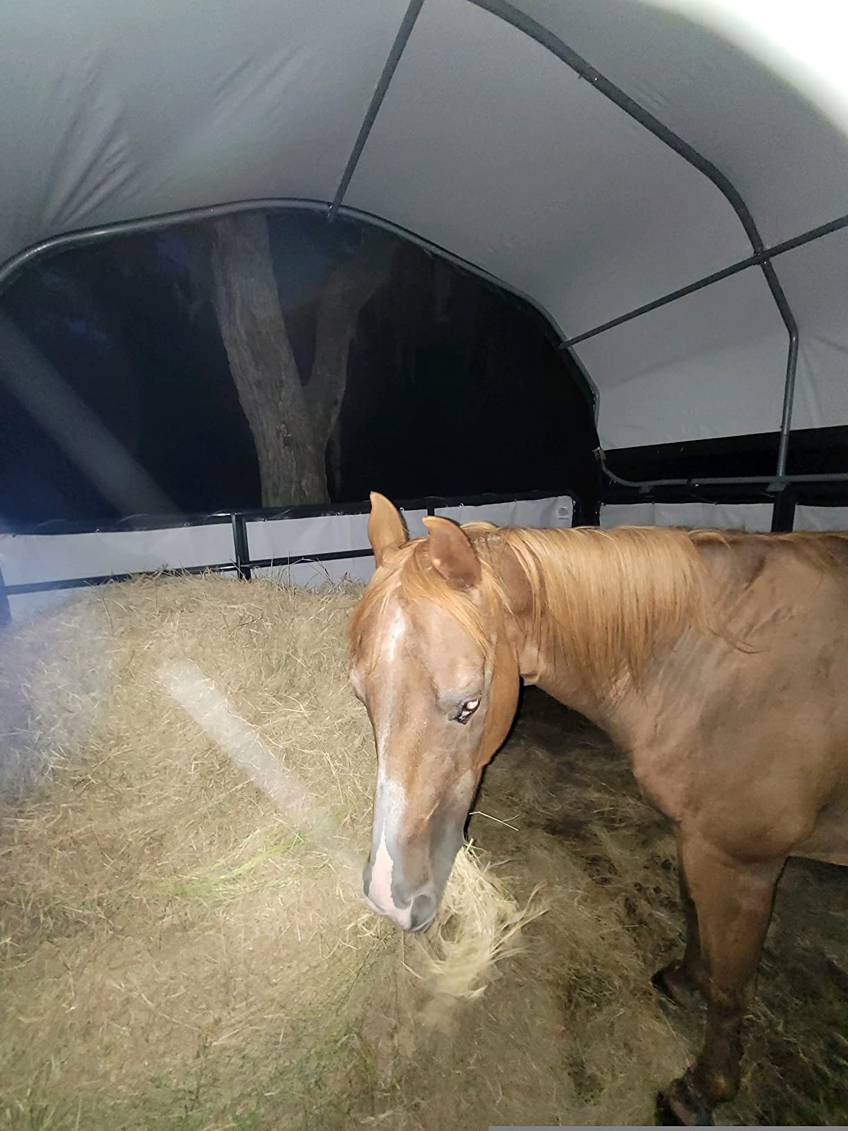 ShelterLogic 12'x12' Equine, Livestock and Agricultural Shelter Enclosure Kit (Corral Panels and Shelter Not Included) customer photo 1