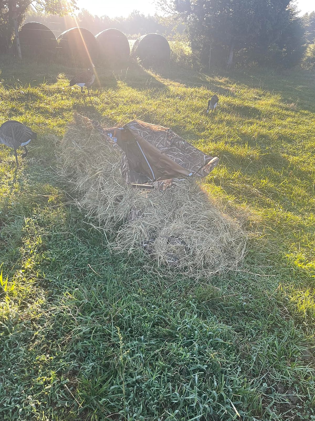 THUNDERBAY Waterfowl Layout Hunting Blind, Waterfowl Field Hunting Blind for Duck Hunting, Aluminum Frame Duck Blind customer photo 1