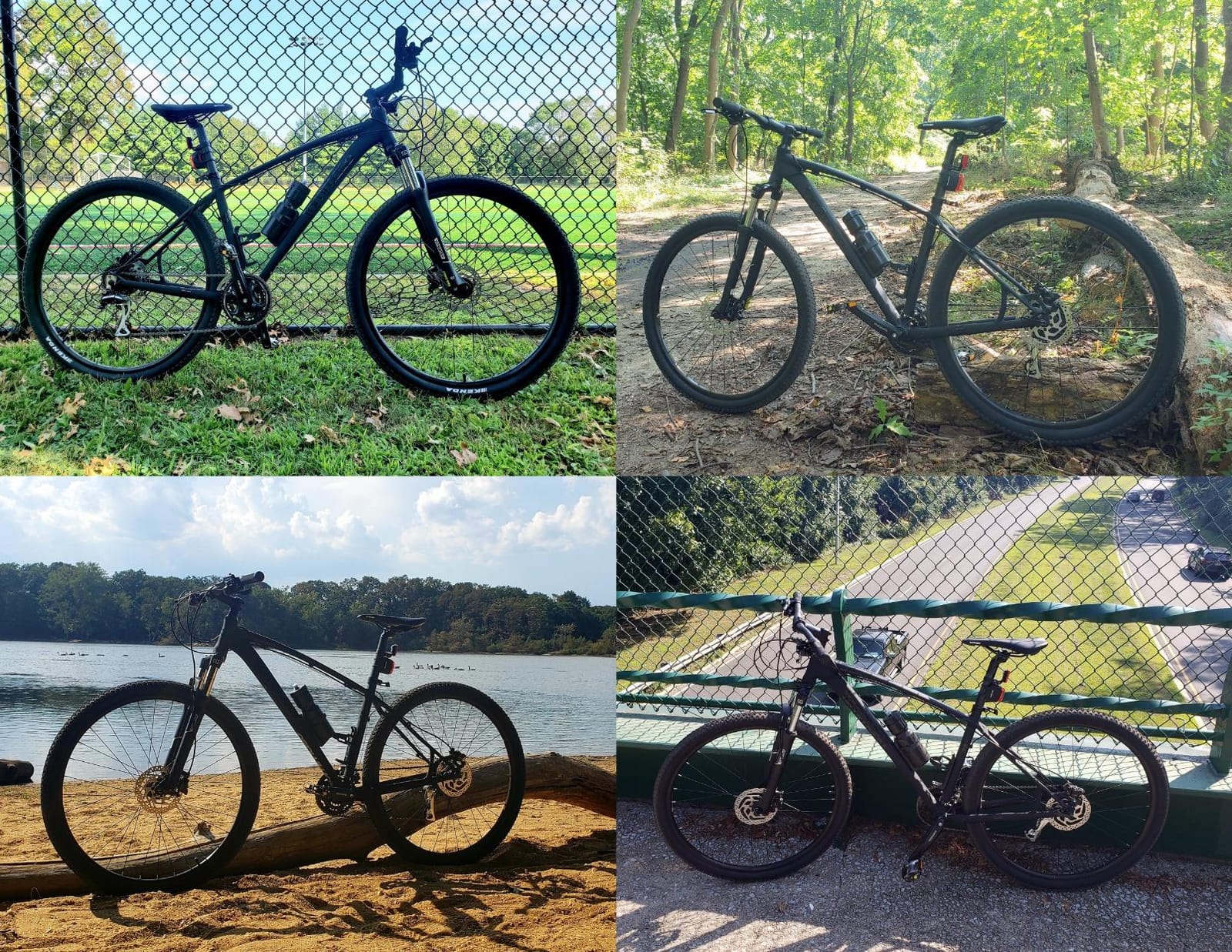 Tommaso Gran Sasso 29er Mountain Bike Hydraulic Disc Hardtail Best Looking MTB customer photo 2