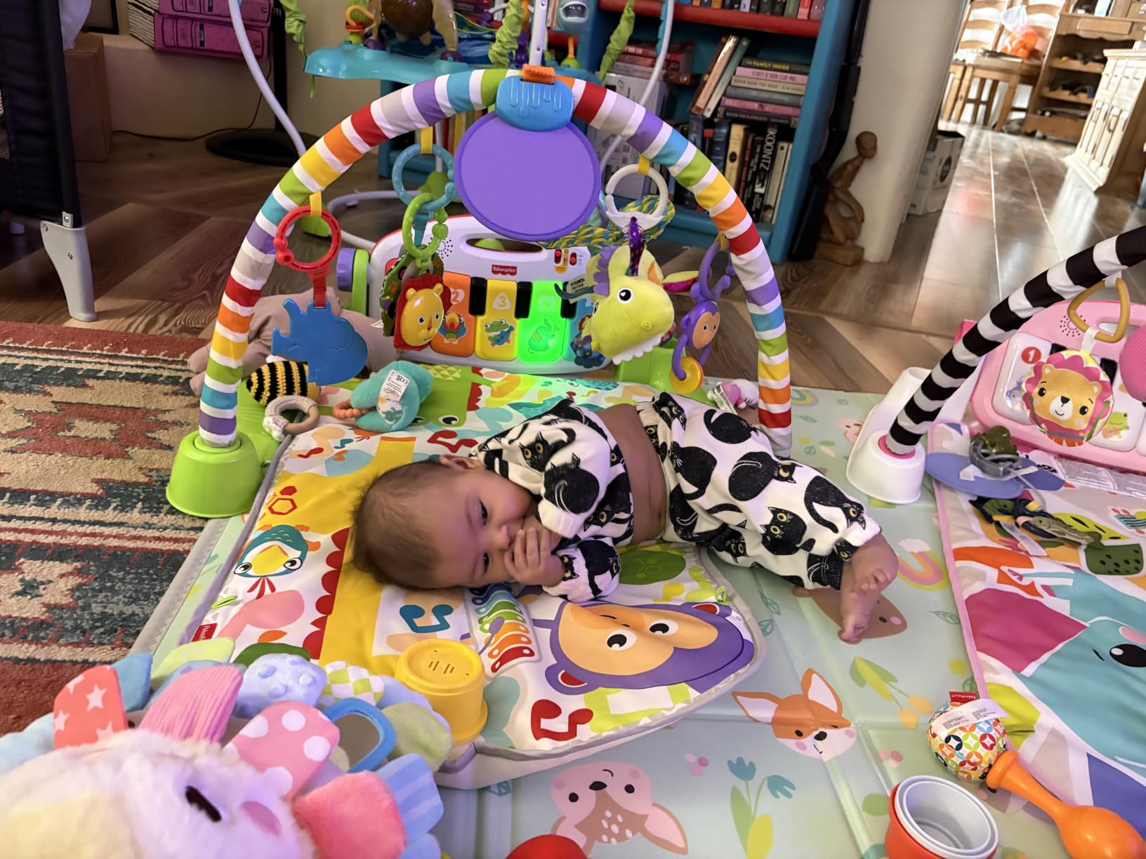 Fisher-Price Baby Playmat Deluxe Kick & Play Piano Gym for Learning & 2 Maracas Soft Rattles for Newborn to Toddler Play Ages 0+ Months customer photo 1