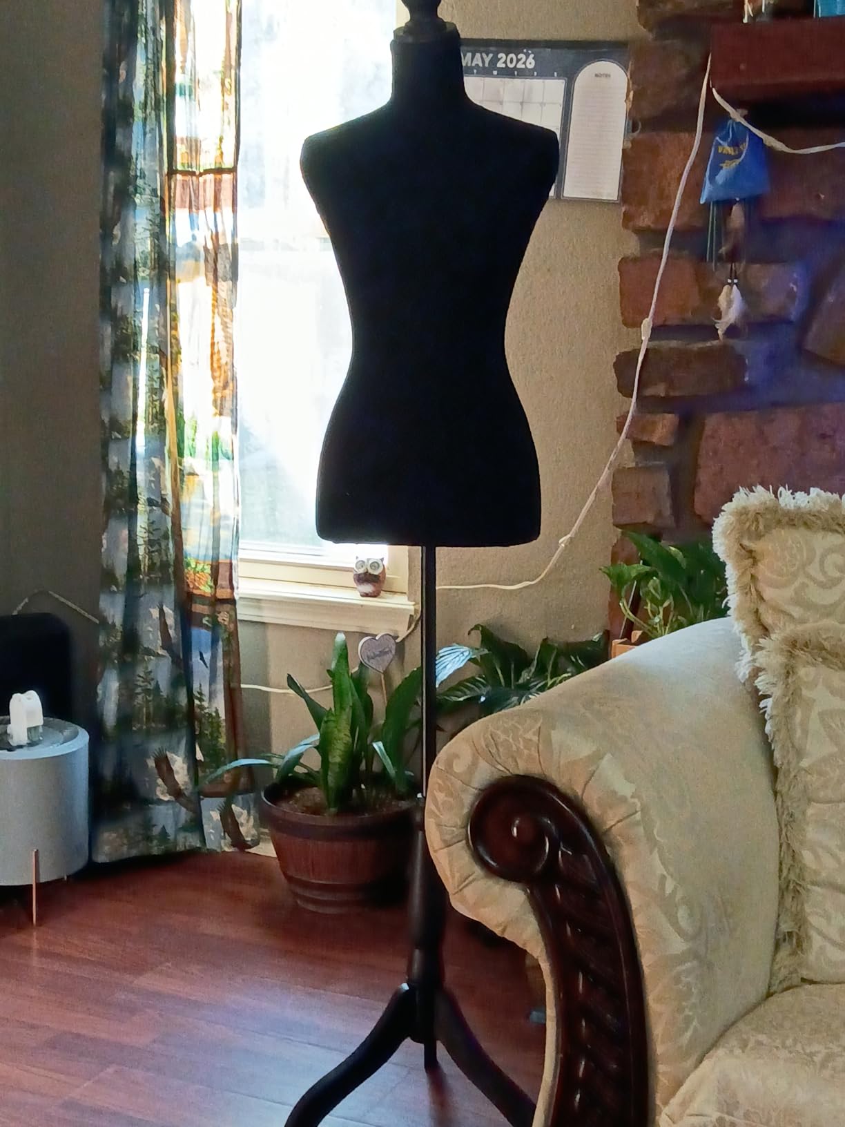 FDW | Female Mannequin Torso | Black | with 7