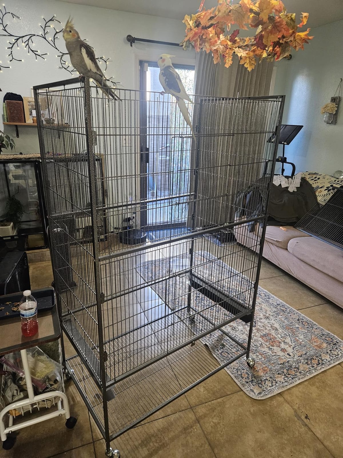 Yaheetech 52'' Bird Cage w/Perches & Feeders, Large Birdcage with Pull-Out Tray, Rolling Wheels, Extra Storage, Flight Cage for Cockatiel, Parrot, Parakeet, Conure, Budgie, Pigeon Small/Medium Birds customer photo 2