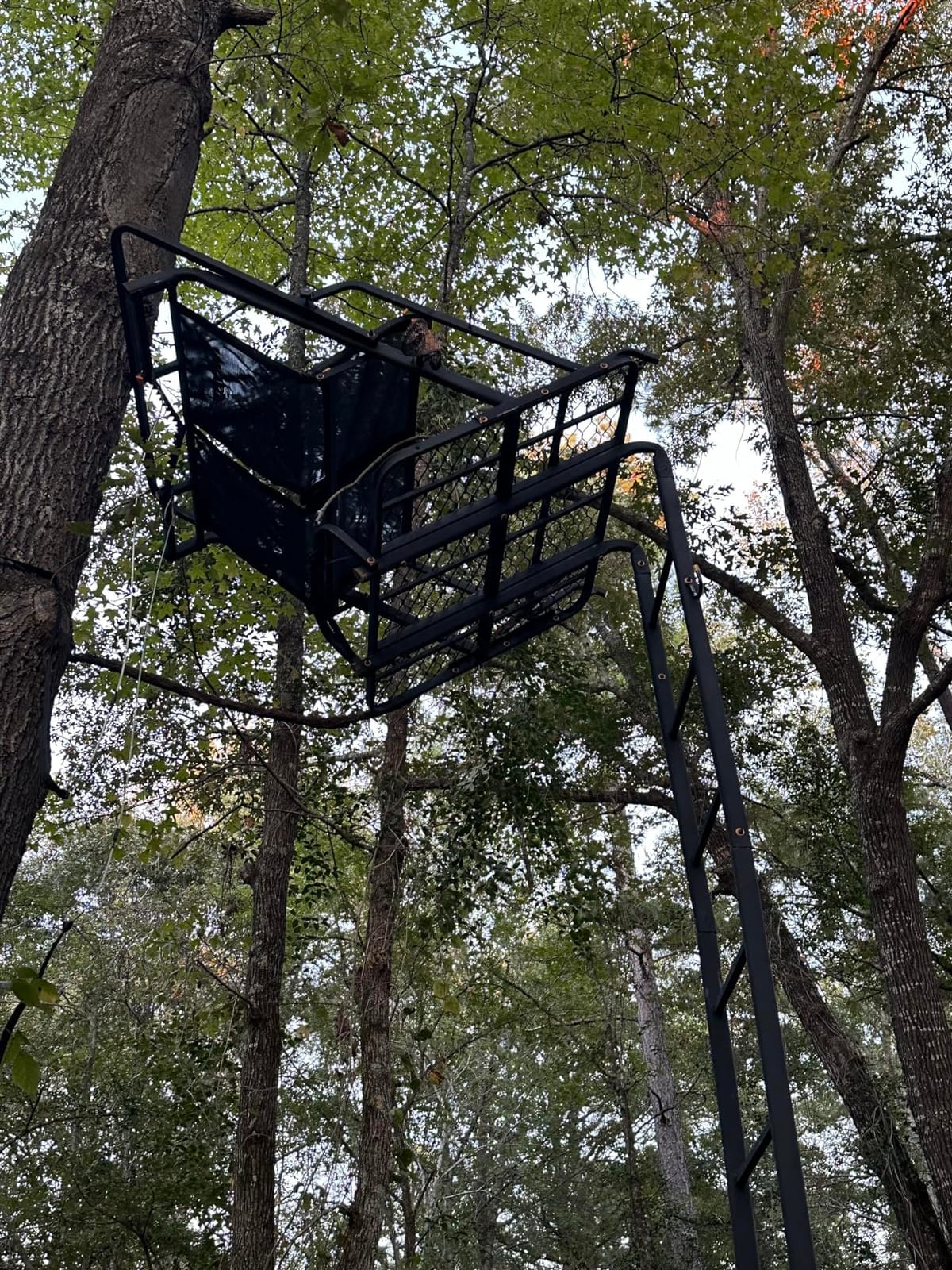 Muddy 2-Person Nexus XTL Steel Ladder Tree Stand, 20 ft Tall | 500 lb Capacity - Hunting Treestand with Flex-Tek Seat, Footrest, Padded Shooting Rail, Cup Holders & Safety Hooks customer photo 2