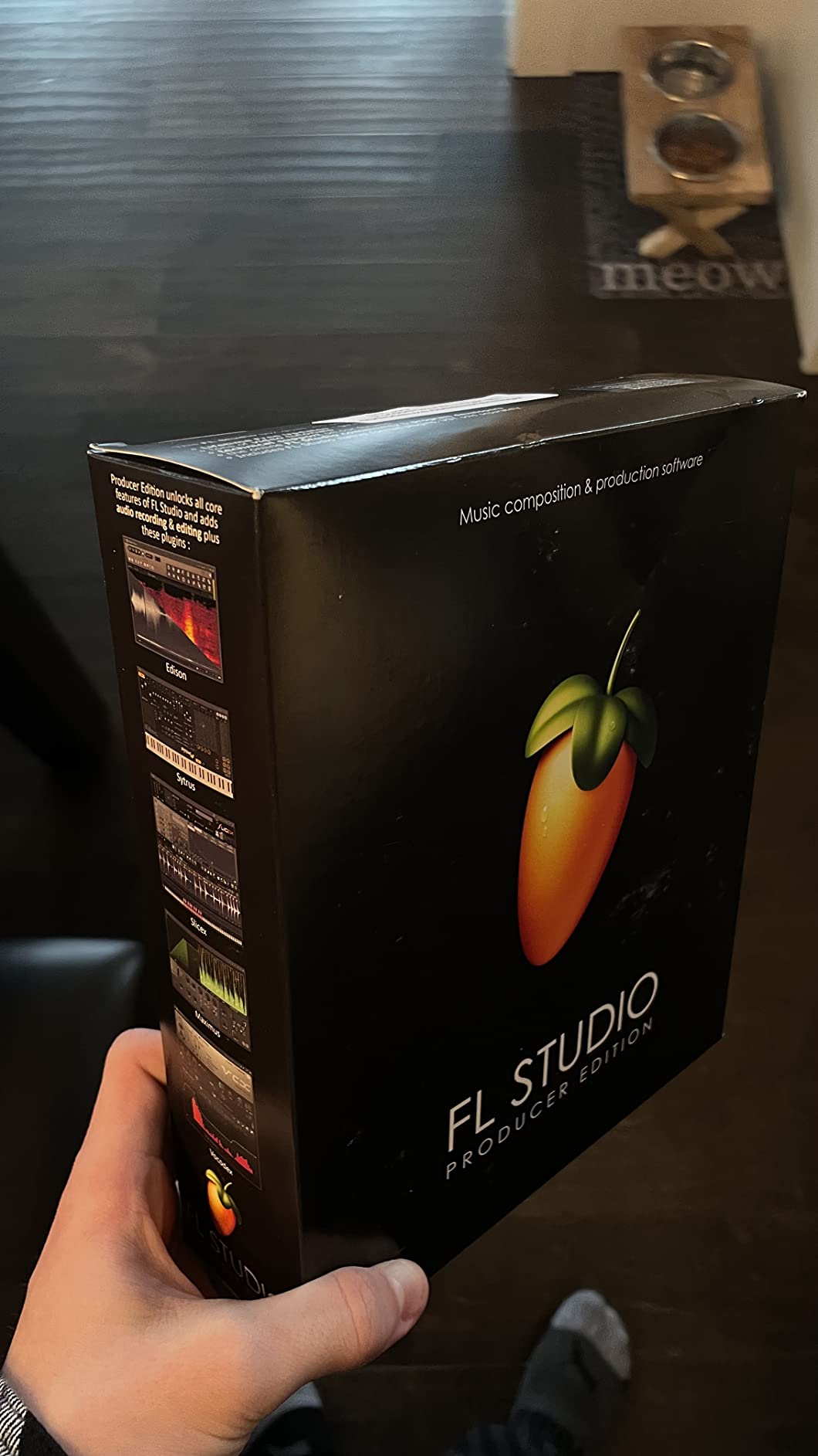 Image Line FL Studio 20 Producer Edition customer photo 2