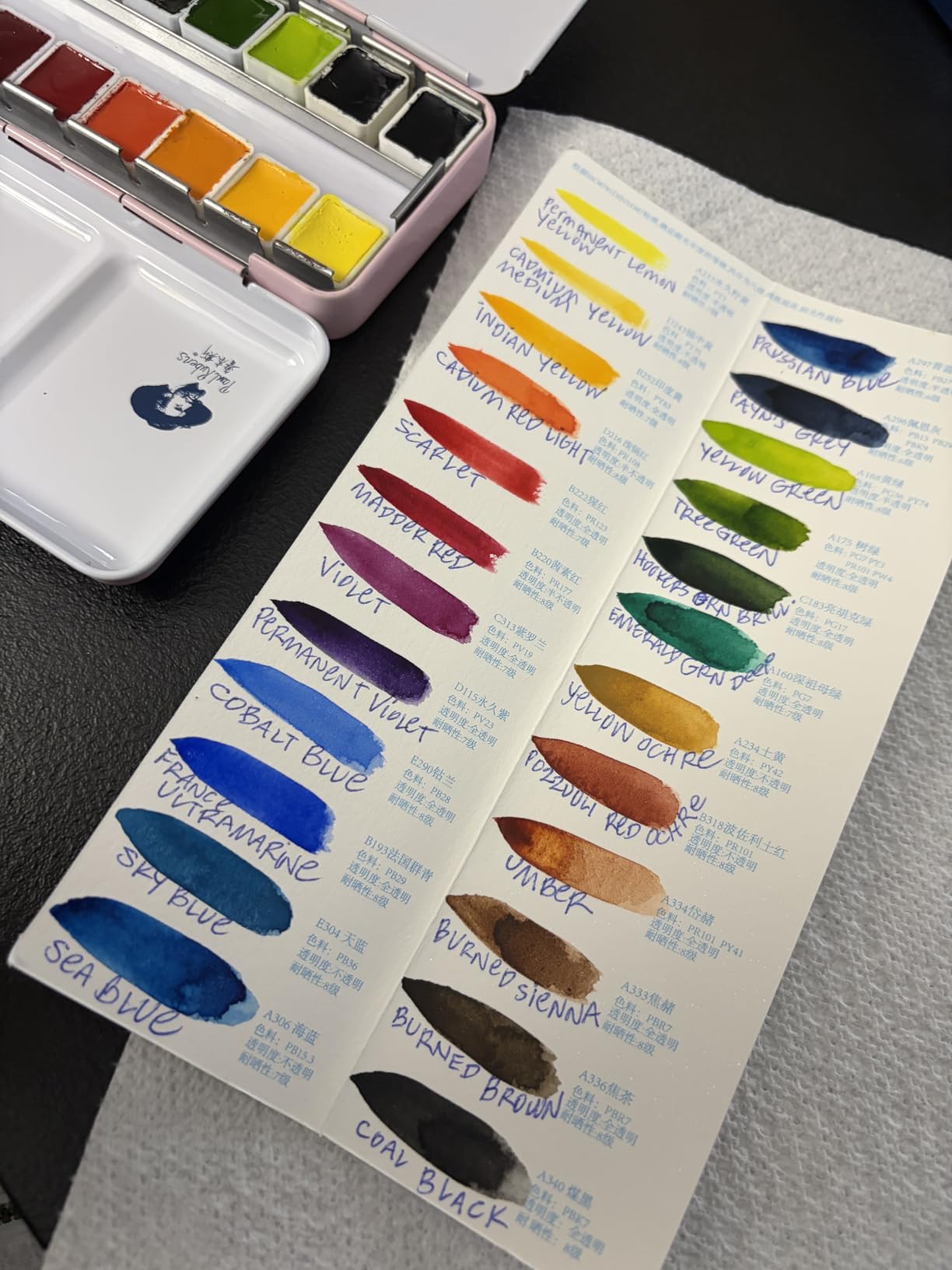 Paul Rubens Watercolor Paint Set Artist Grade, 24 Vivid Colors with Portable Metal Box for Artists, Beginners, Hobbyists, Students customer photo 2