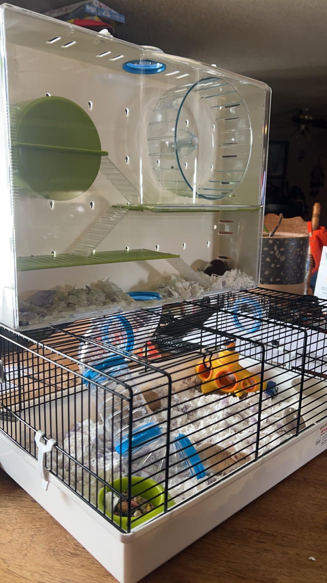 MidWest Homes for Pets Hamster Cage | Awesome Arcade Hamster Home (White) | 18.11 x 11.61 x 21.26 Inch customer photo 2