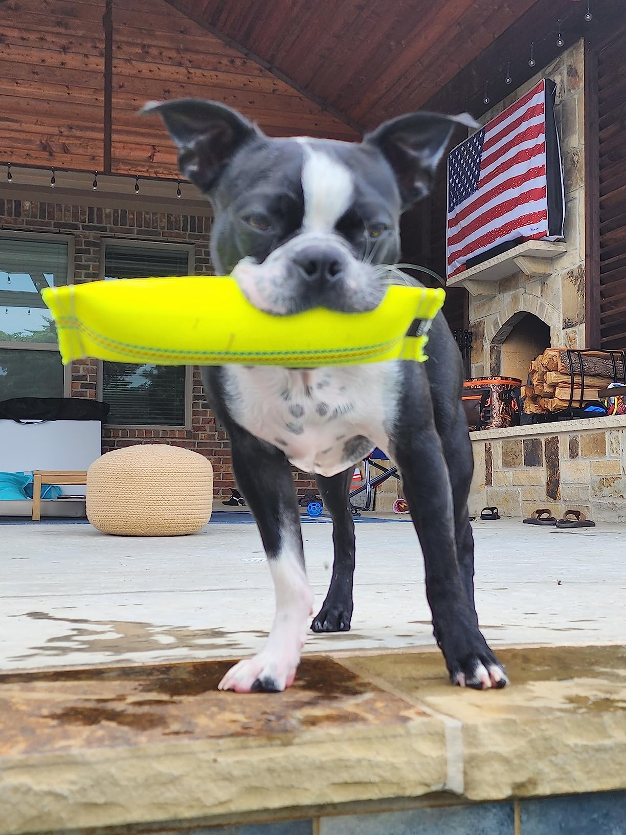 2-in-1 Floating Fetch Toy & Bite Tug - Tough, Strong, Interactive Dog Throw Toys for Medium to Large Dogs - Perfect for Dock Diving, Training & Fetching - Fire Hose Ballistic Water Pool Dog Fetch Toy customer photo 1