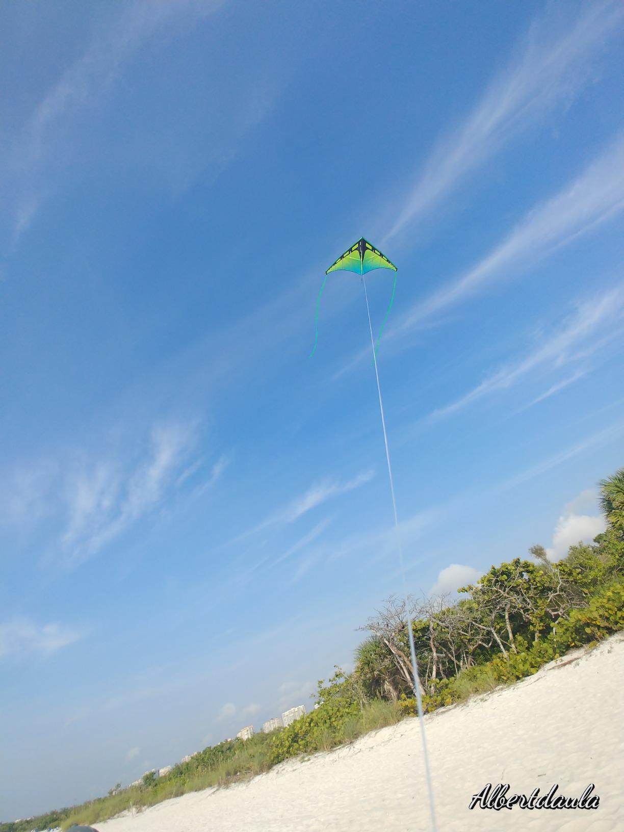 Prism Kite Technology Zenith 5 Single Line Delta Kite customer photo 2