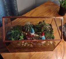 D'Eco Glass House Plant Terrarium, Centerpiece & Wedding Letterbox | Tabletop Geometric Planter Terrarium, Fill Display with Succulents, Moss, Air Plants, Ferns, Home & Office Decor Dims 10x6x8 inch customer photo 2