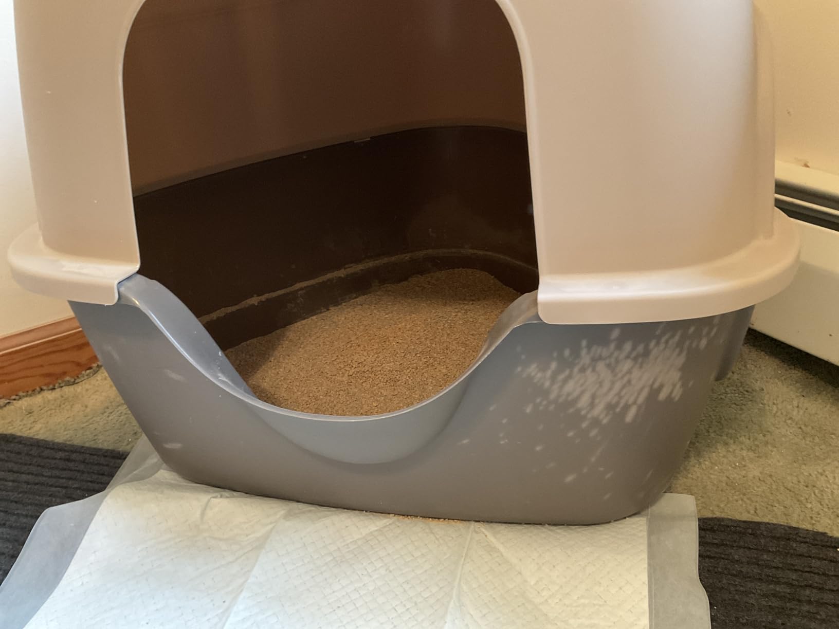 Amazon Basics Cat Litter Box with Lid, No-Mess, Spacious Enclosed Design with Odor Control, Easy Access, Stain Resistant, 26